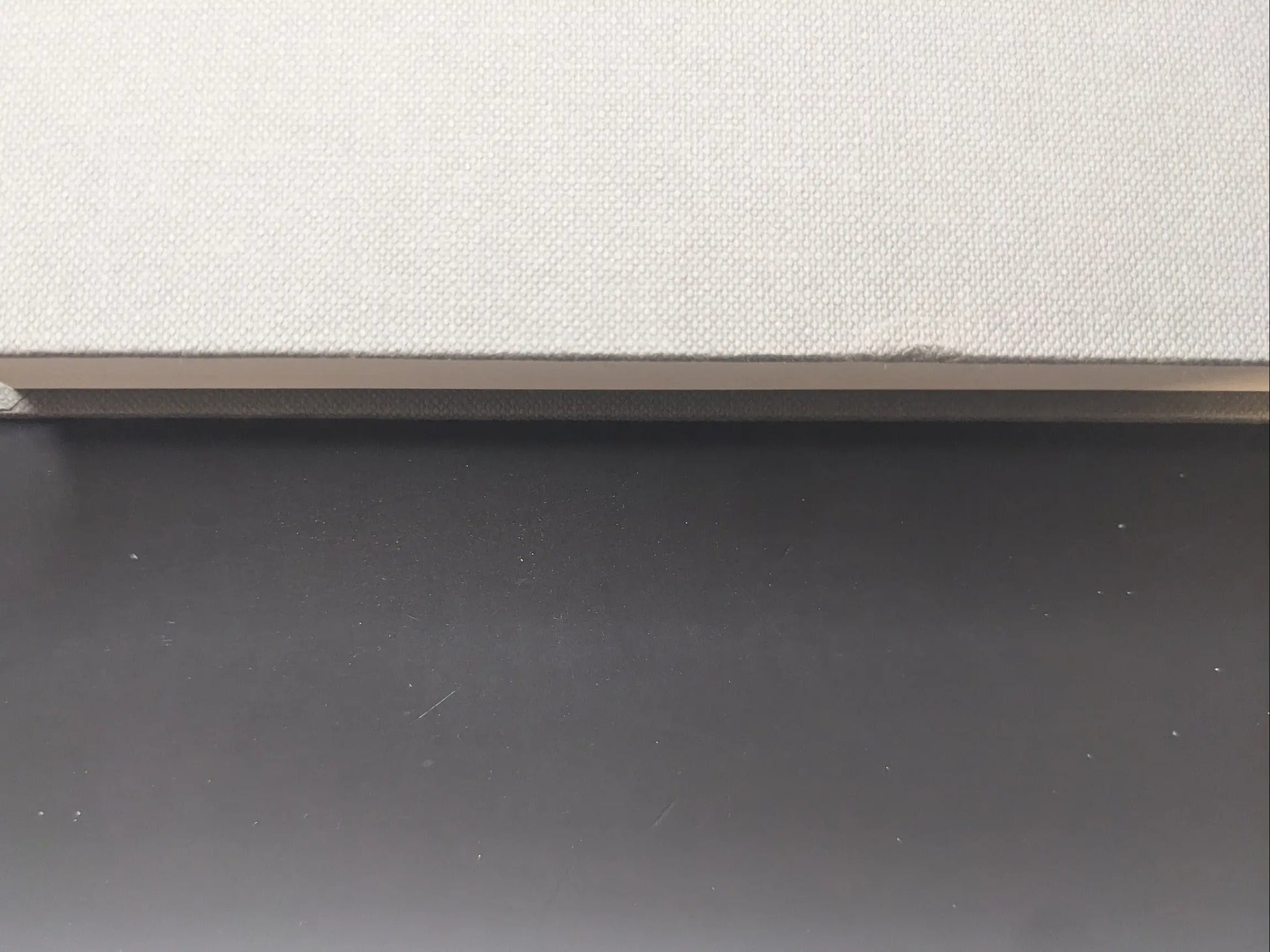 Close-up of the spine of Symphony – mushrooms from the forest by Takashi Homma with minor defect