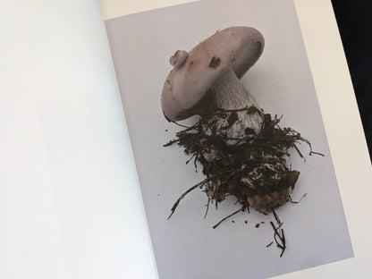 Lilac-capped mushroom with soil and forest residue on its stem