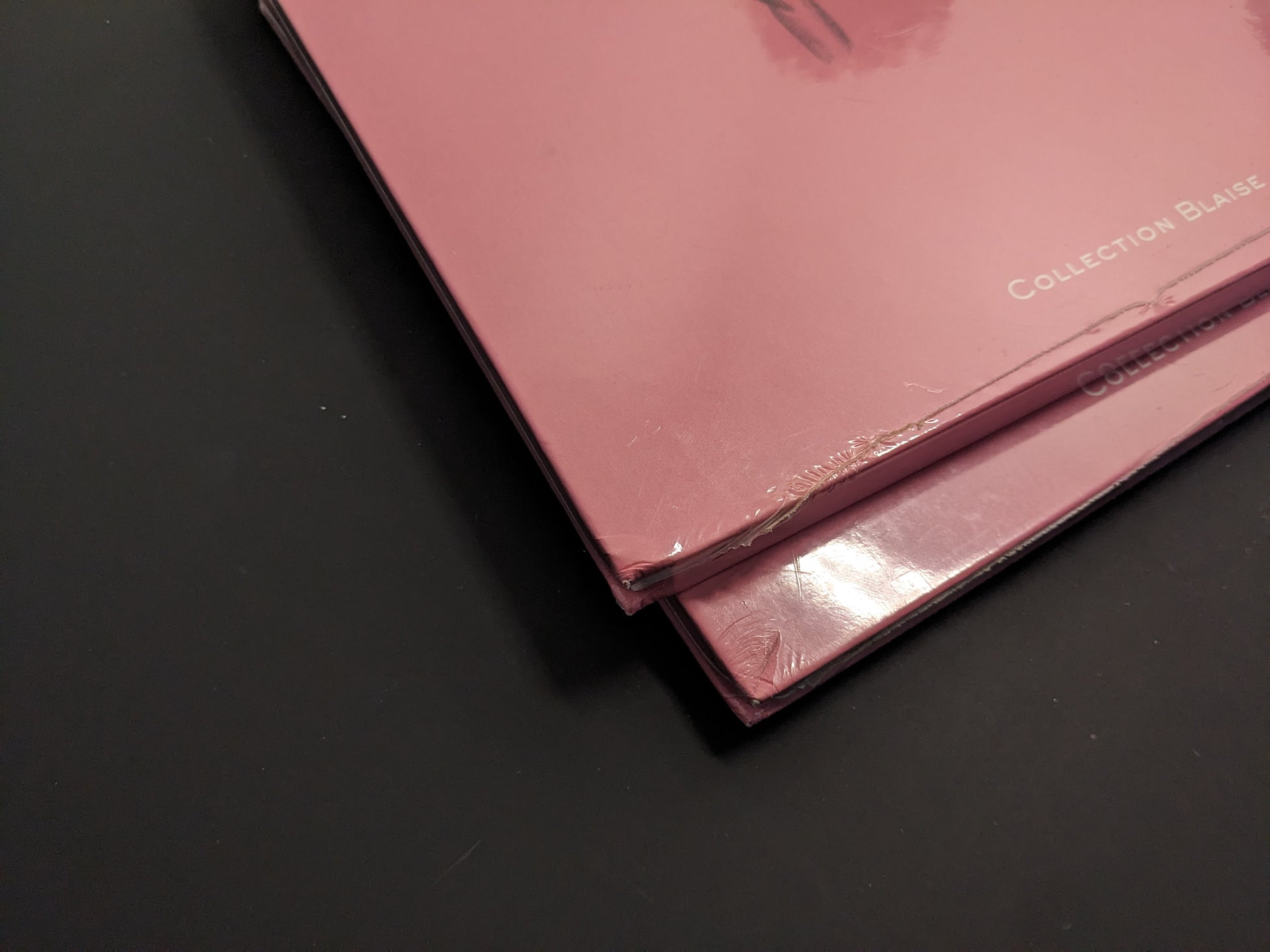 Minor damage to book cover corner – Terra Maxima by Ludovic Debeurme