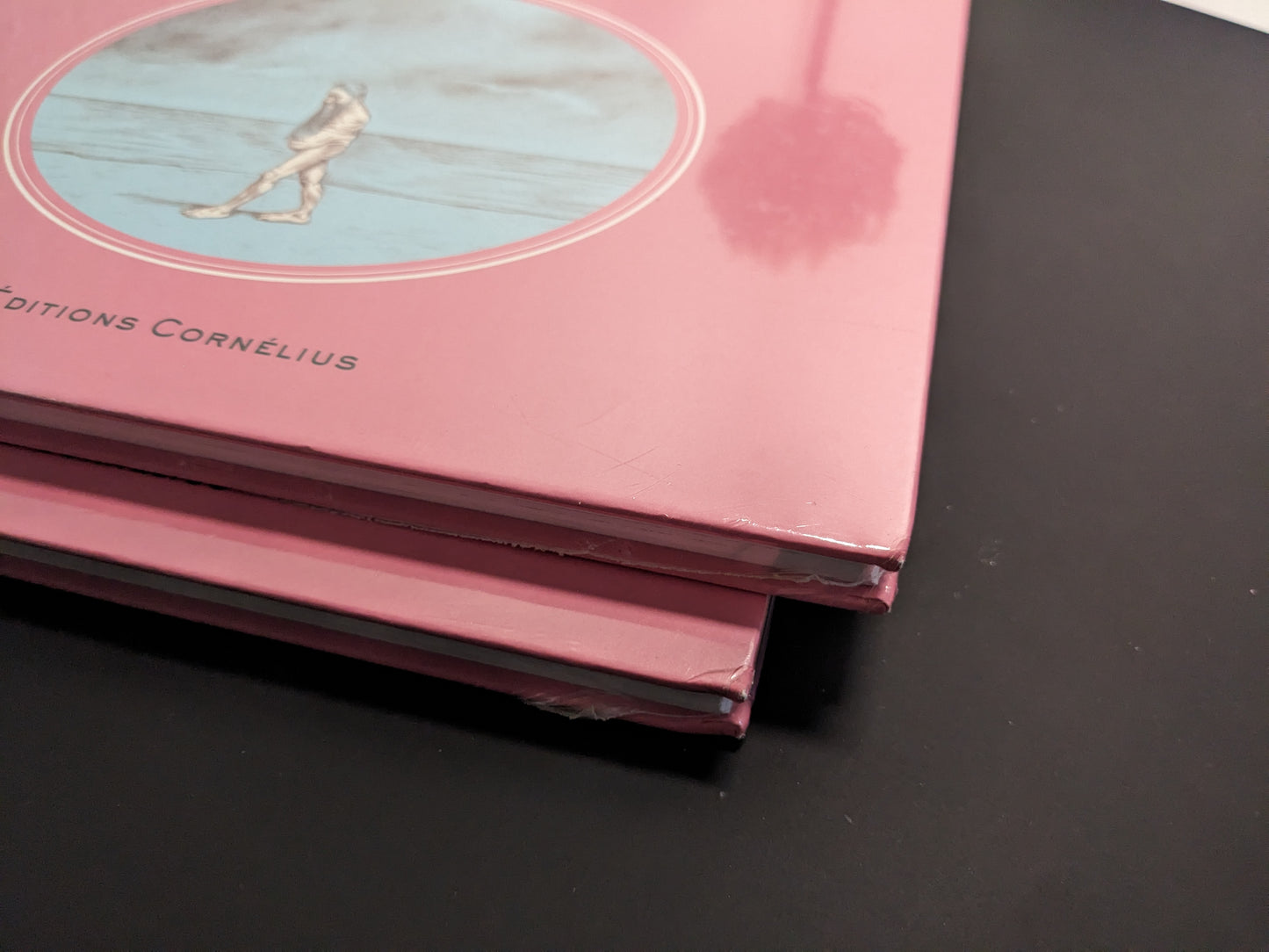Damaged corner on the front cover of Terra Maxima by Ludovic Debeurme