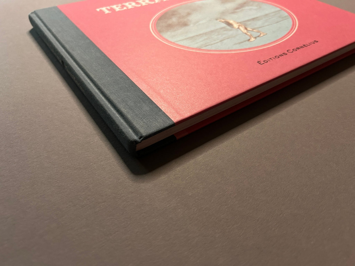 Terra Maxima by Ludovic Debeurme, angled view of the front cover and spine