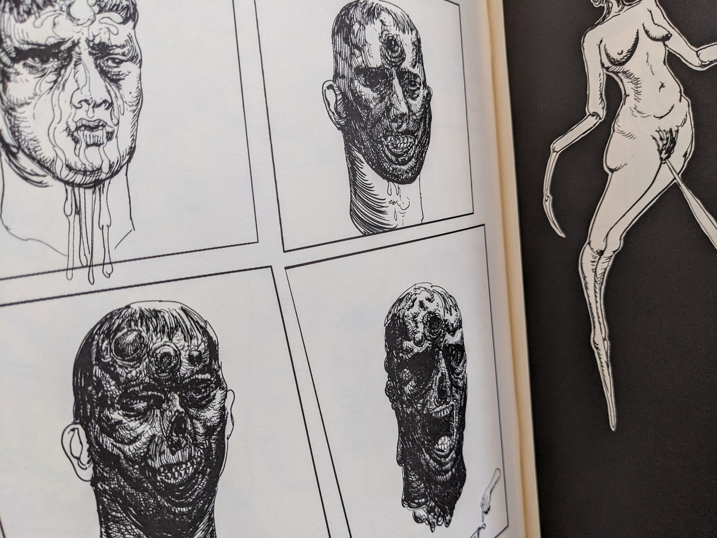 Interior spread from Terrotic with multiple grotesque portrait studies and a figure in profile.