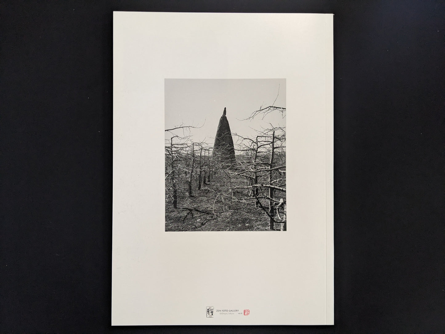 Back cover of The Ancient Towers, with a Buddhist stone tower in a sparse landscape.