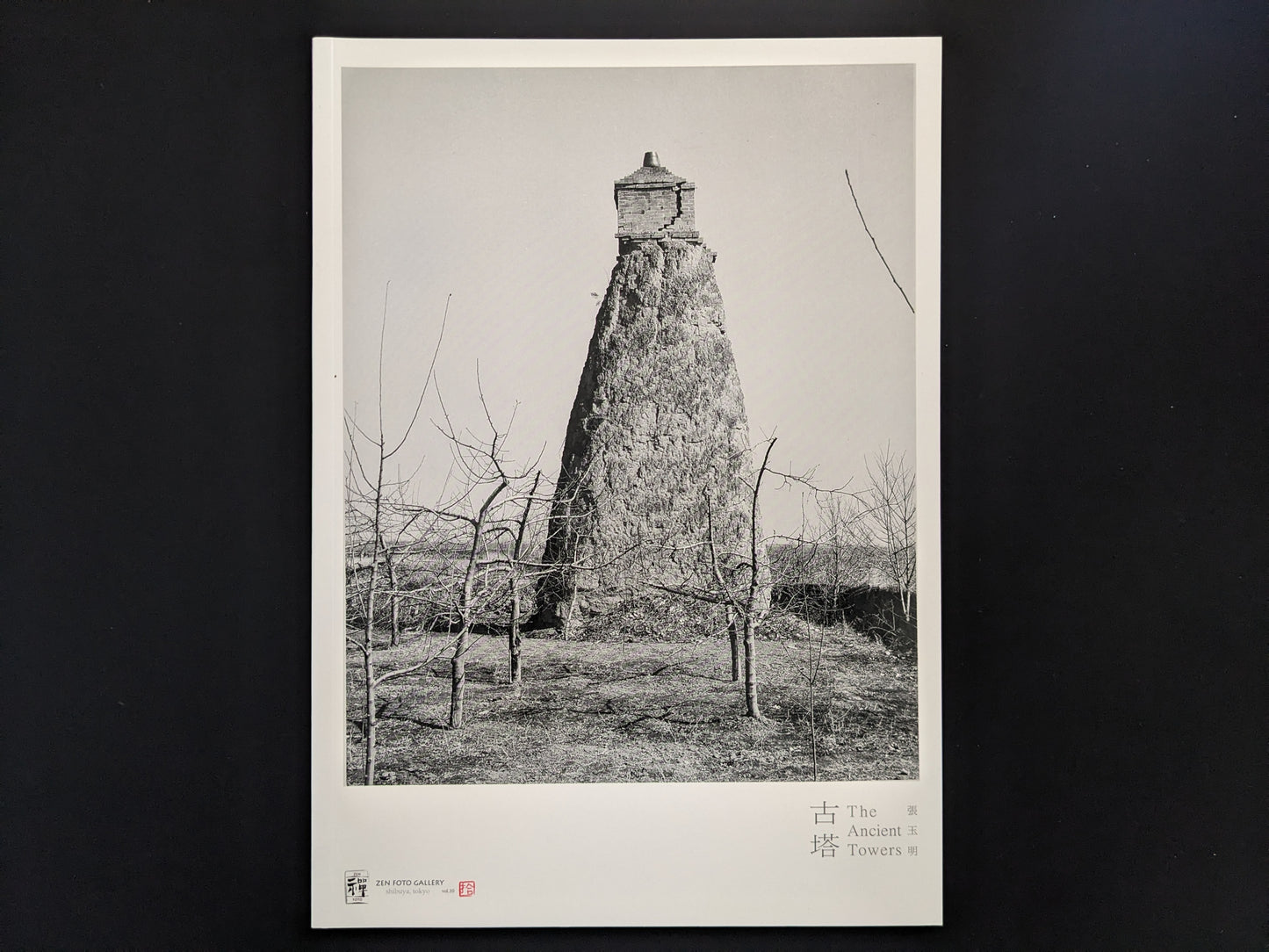 Front cover of The Ancient Towers by Zhang Yu-Ming, showing a Buddhist stone tower in rural China.