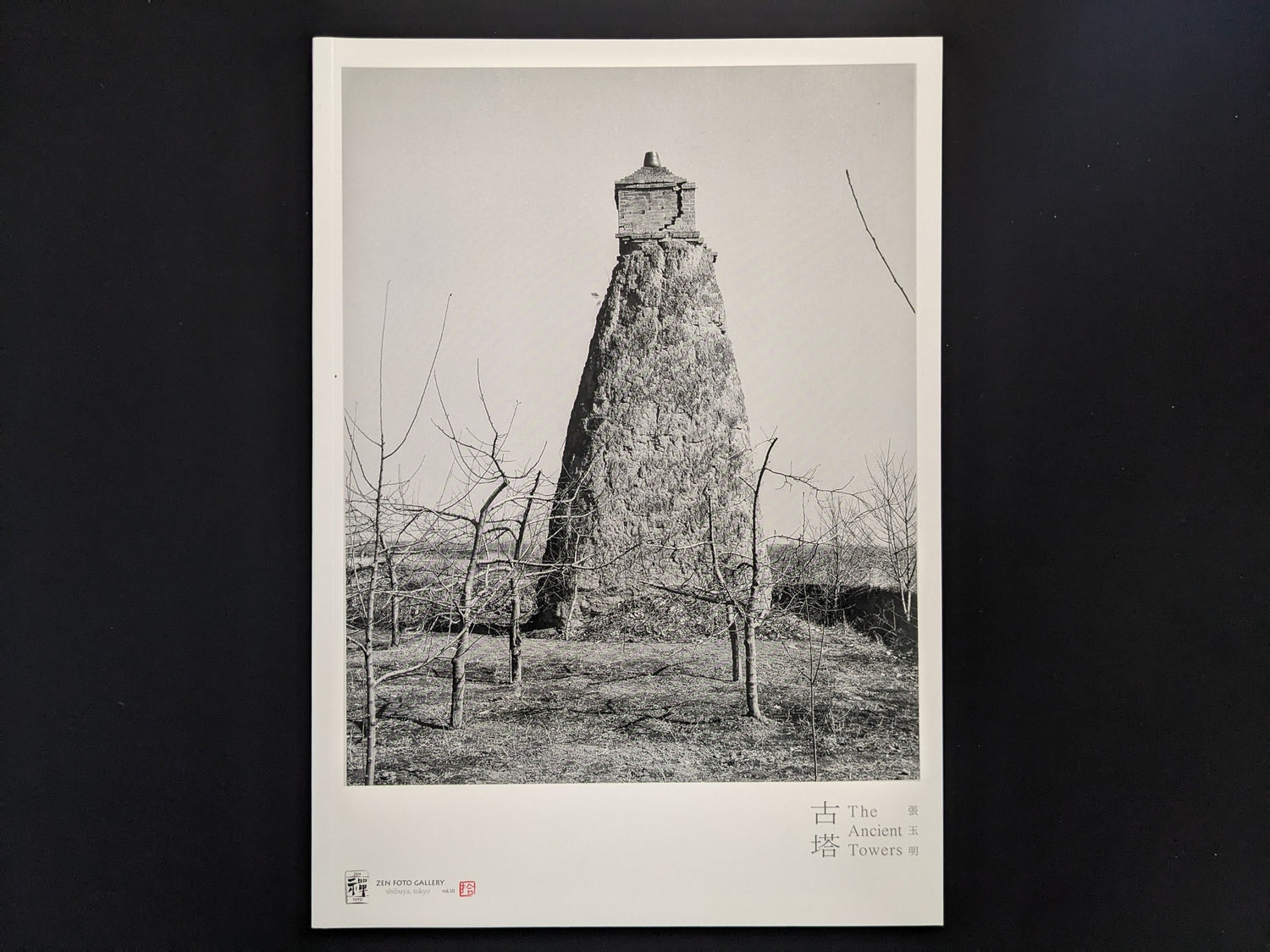 Front cover of The Ancient Towers by Zhang Yu-Ming, showing a Buddhist stone tower in rural China.