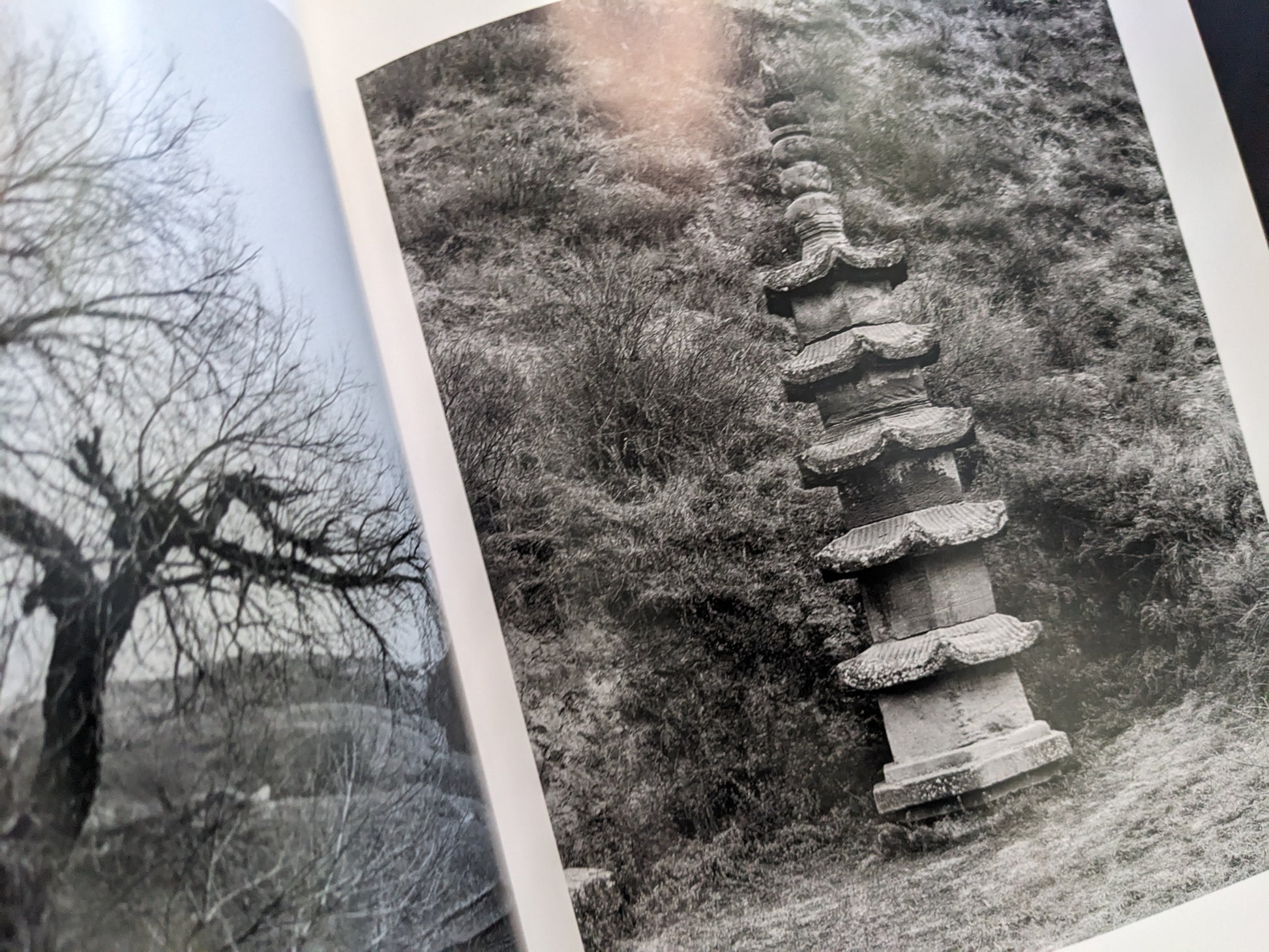 Tower and bare tree in an interior spread from The Ancient Towers.