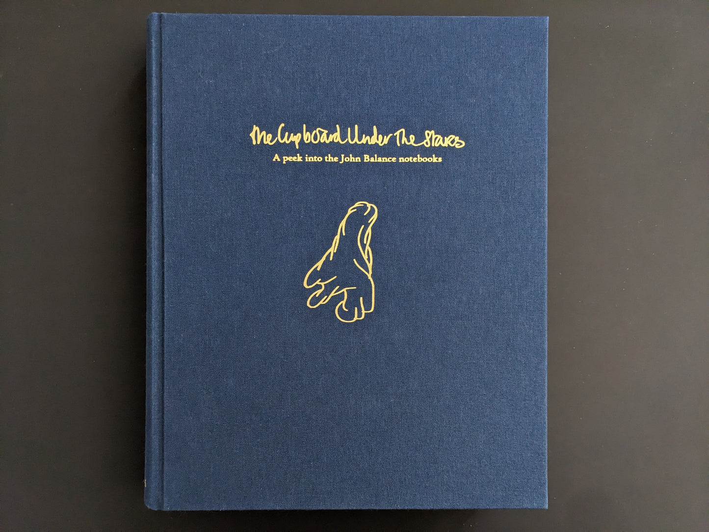 Blue cloth hardcover of The Cupboard Under the Stars with gold embossed title and hand illustration