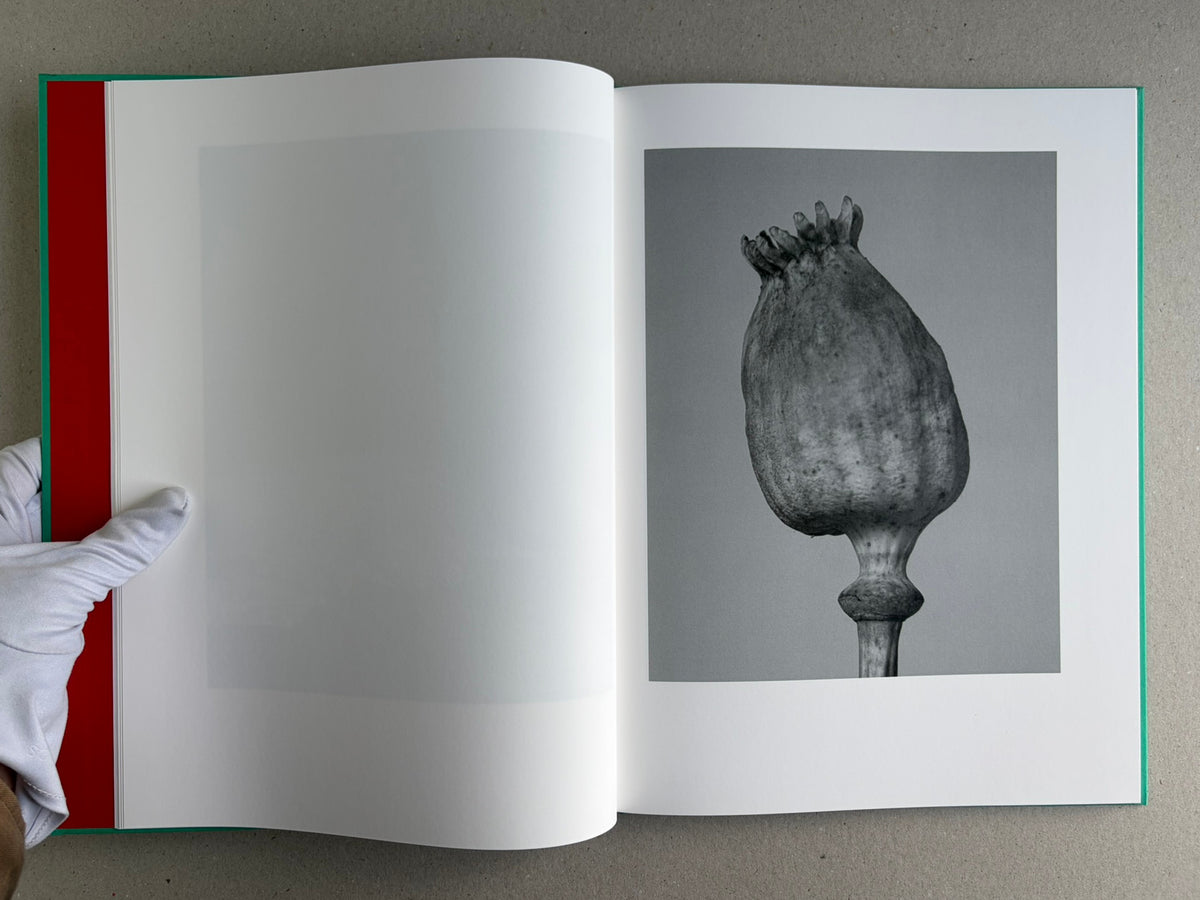 Open spread from The Essential Solitude, showing a black-and-white close-up of a poppy seed pod on the right page.