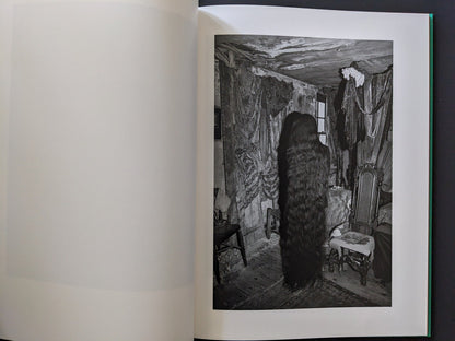 Interior scene with a dark, suspended mass of hair amid antique furnishings.