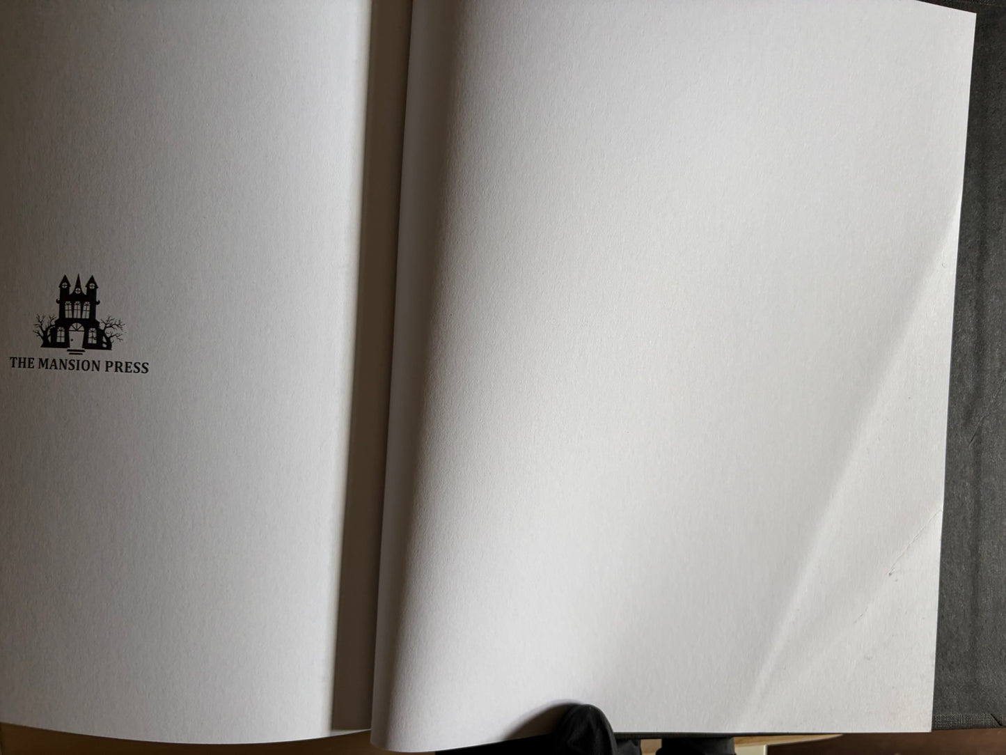 Black rear endpaper with The Mansion Press logo, showing a faint crease near the lower right edge.
