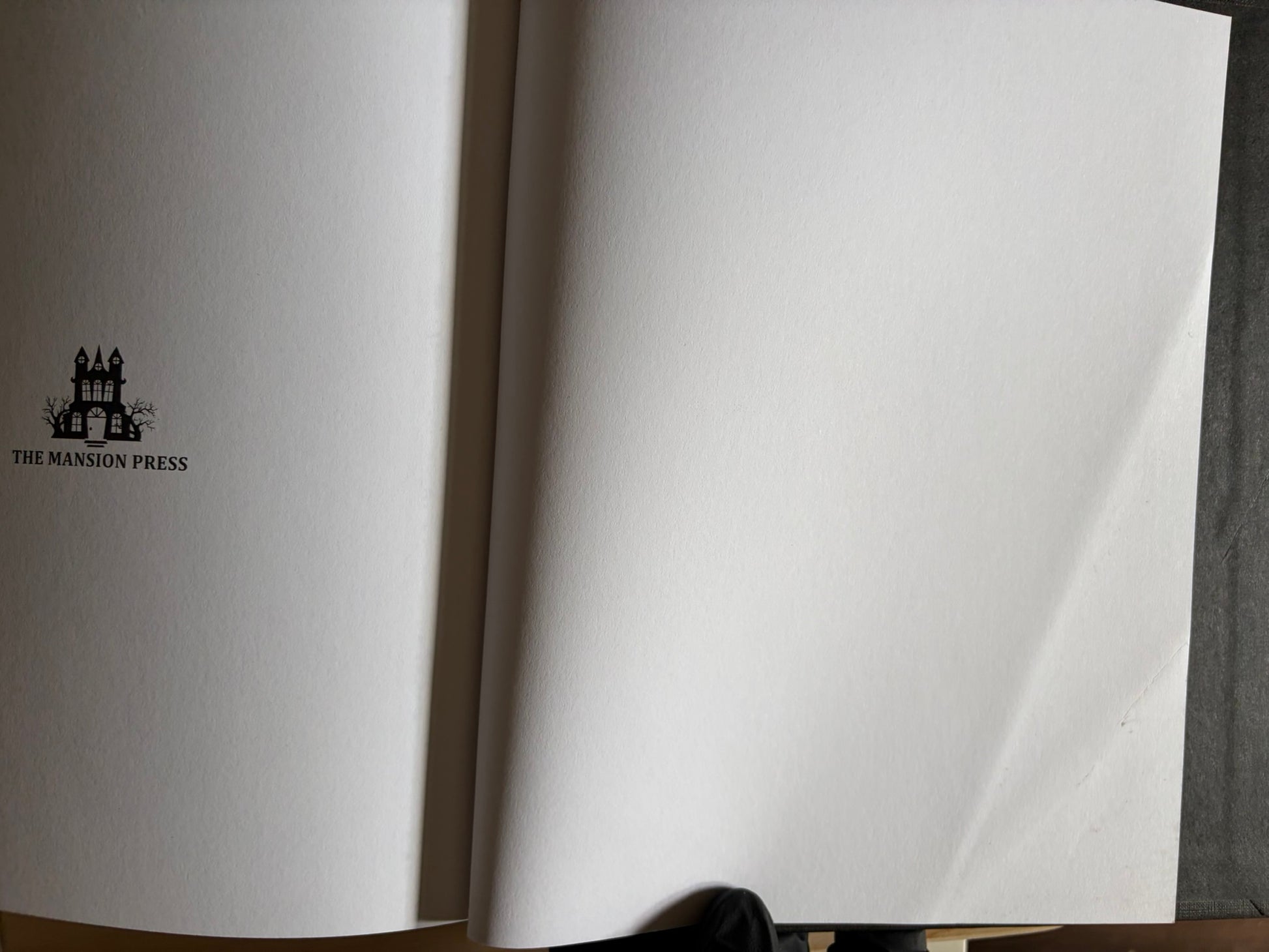 Black rear endpaper with The Mansion Press logo, showing a faint crease near the lower right edge.