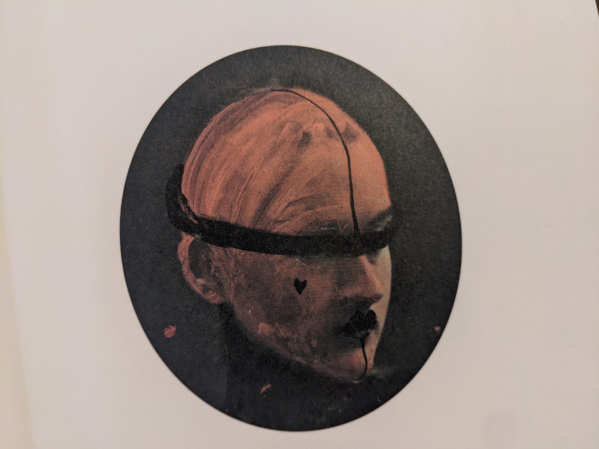 Artwork from The Fire That Drank The Shadow by Julia Soboleva featuring a circular portrait  with a dark band covering the eyes.