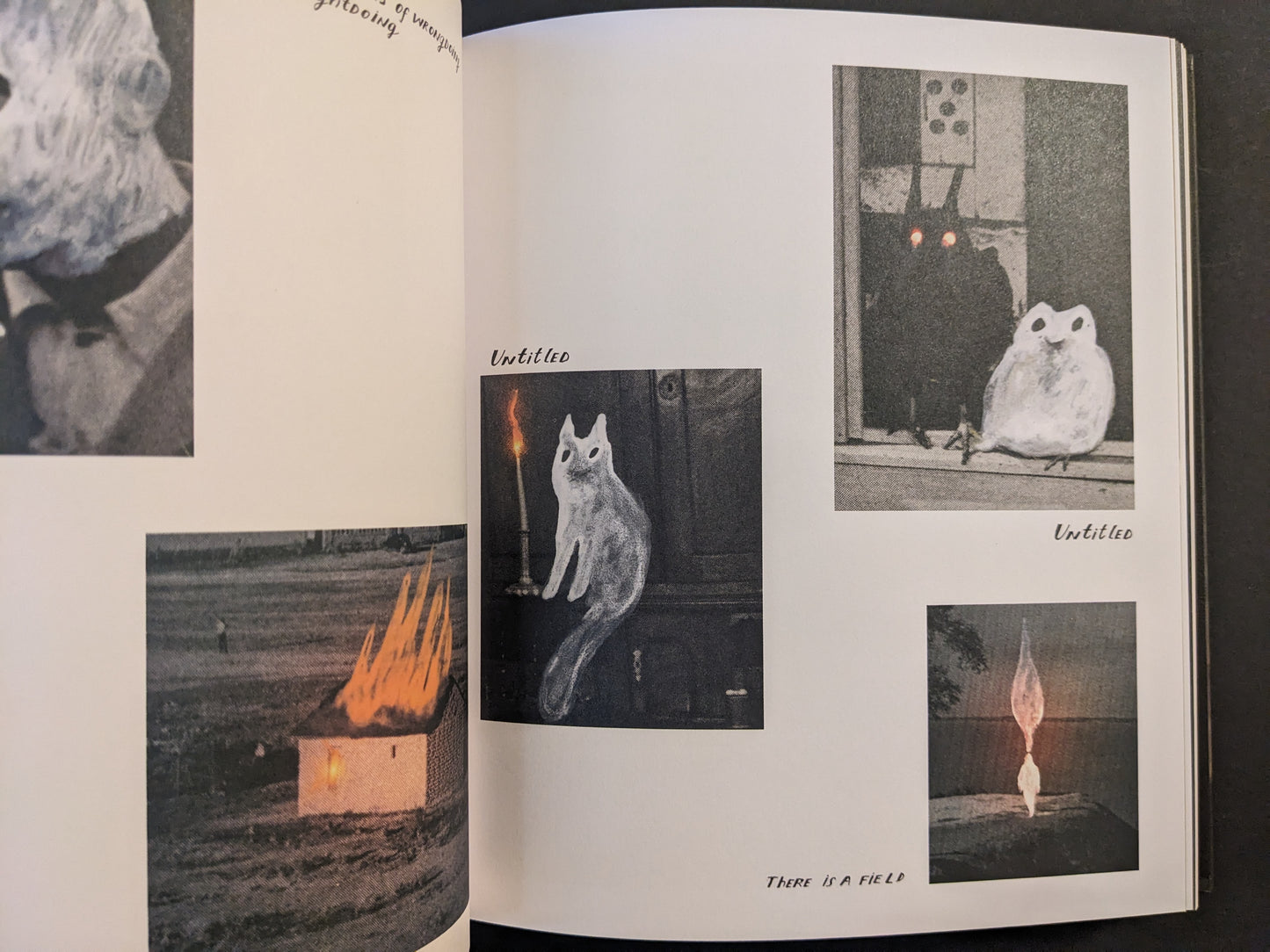 Open spread from The Fire That Drank The Shadow by Julia Soboleva with multiple small images, including a ghostly cat beside a candle, a dark figure with glowing eyes next to a pale owl-like figure, and a small flame-shaped figure.