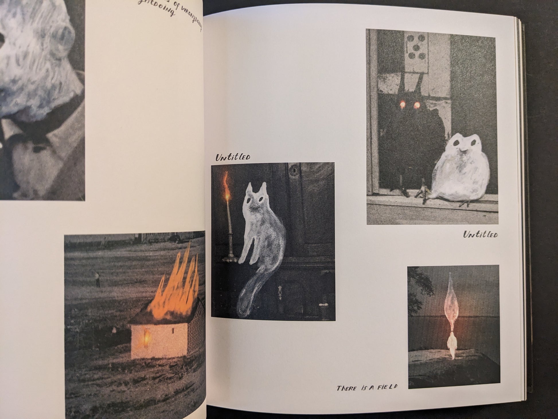 Open spread from The Fire That Drank The Shadow by Julia Soboleva with multiple small images, including a ghostly cat beside a candle, a dark figure with glowing eyes next to a pale owl-like figure, and a small flame-shaped figure.