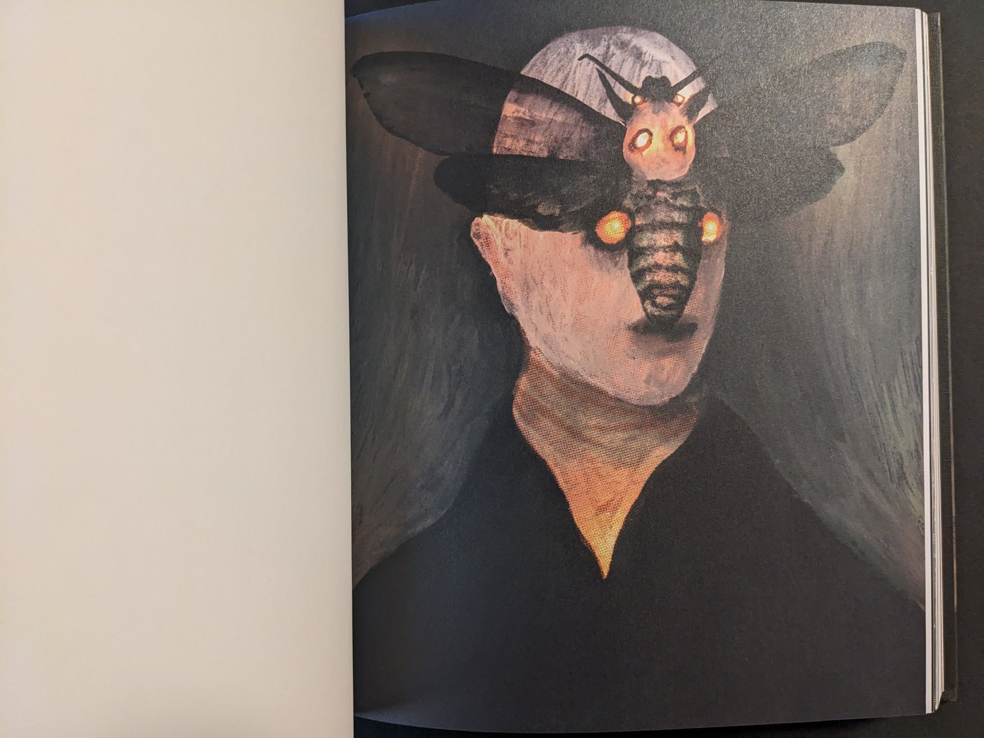 Artwork from The Fire That Drank The Shadow by Julia Soboleva showing a portrait with a large moth positioned over the face, its eyes and body glowing in warm tones.