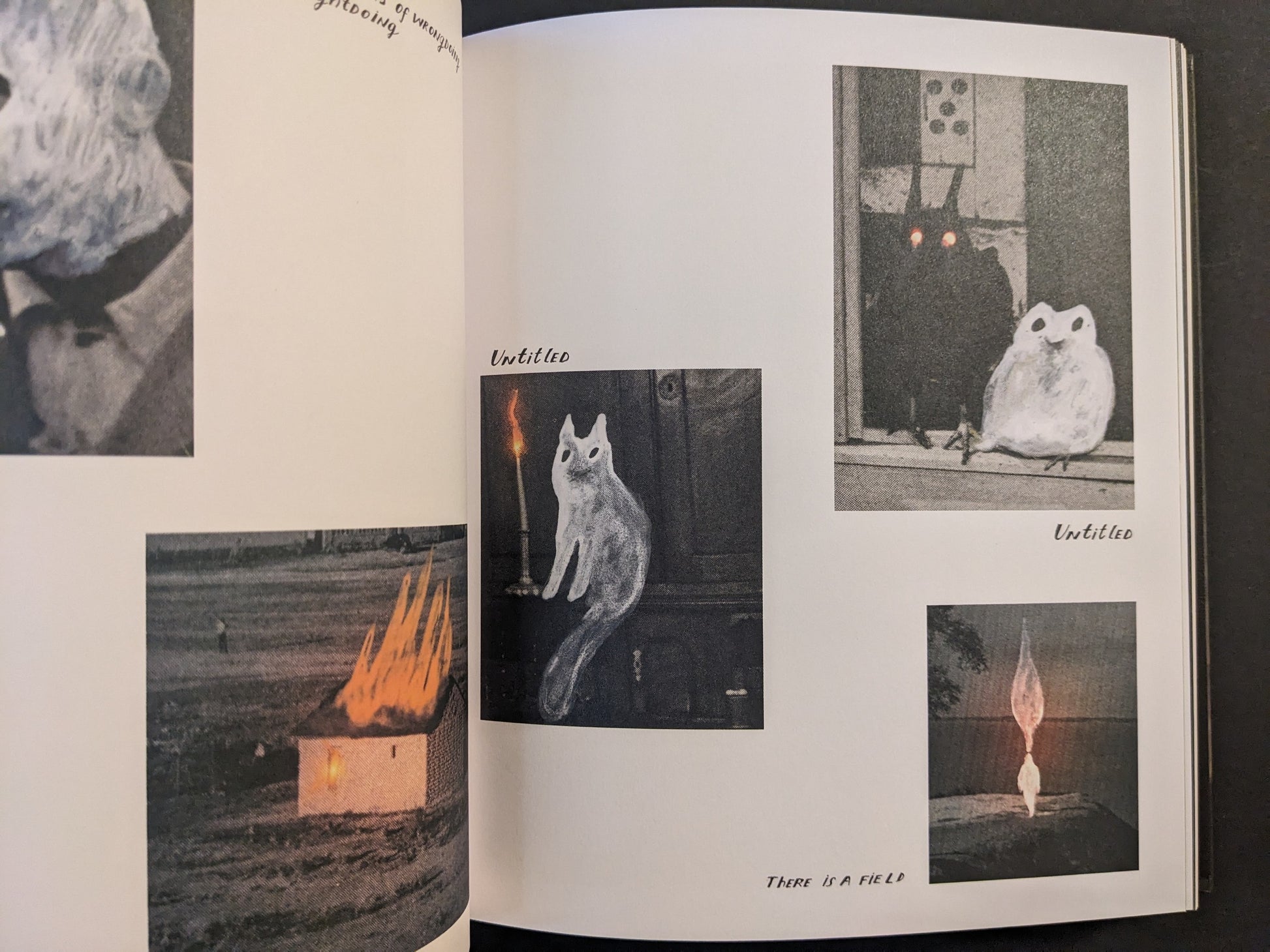 Open spread from The Fire That Drank The Shadow by Julia Soboleva, with small collage scenes including a ghostly cat, an owl-like figure, and a flame-shaped figure.
