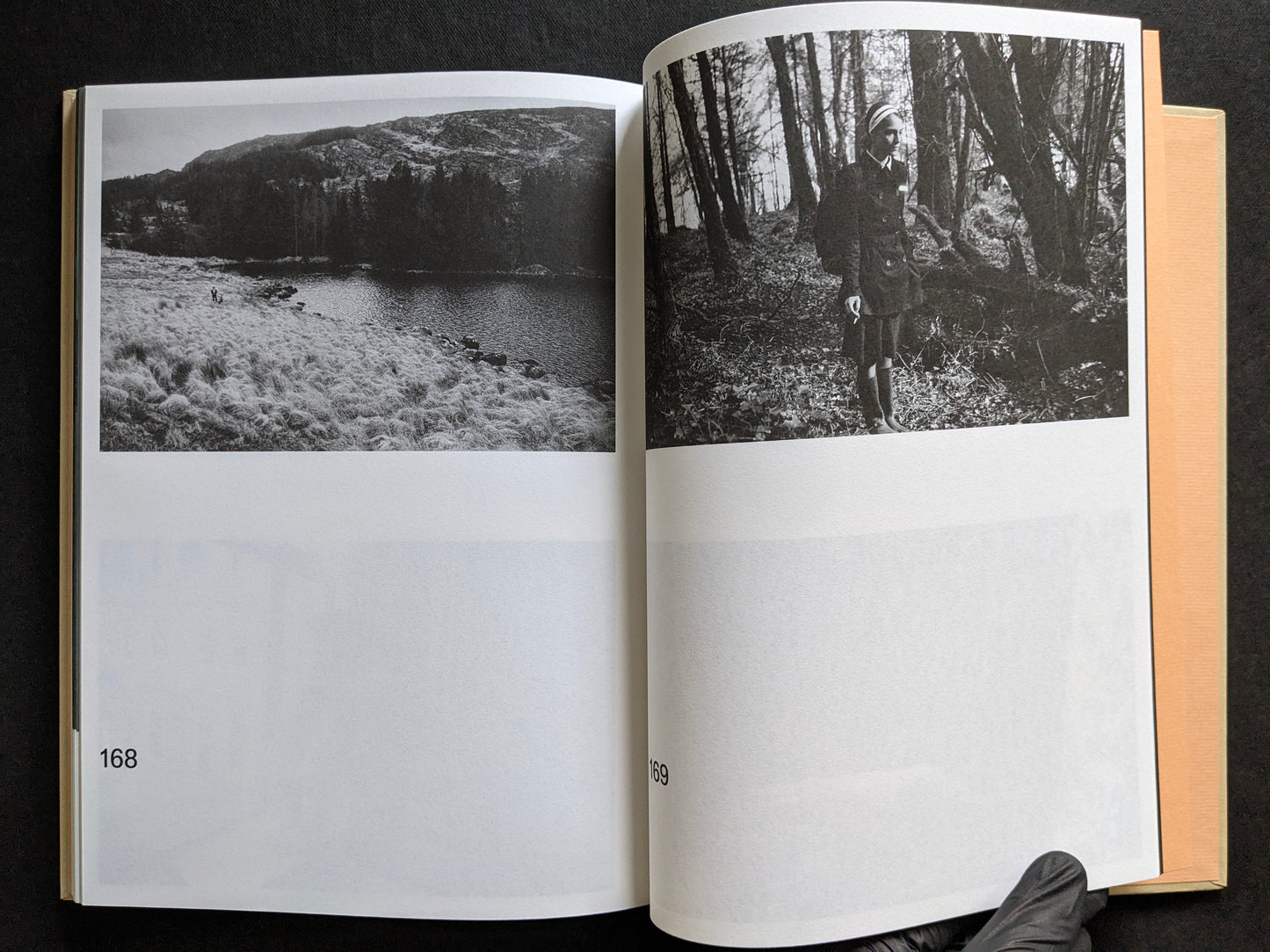 Interior spread with black-and-white stills from The Lobster showing a landscape and a woman standing in the woods.