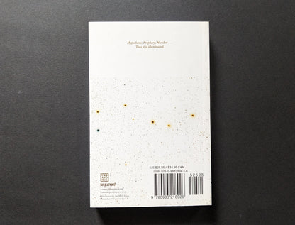  Back cover of The Number and the Siren by Quentin Meillassoux, with a quote from the book and the publisher's details.
