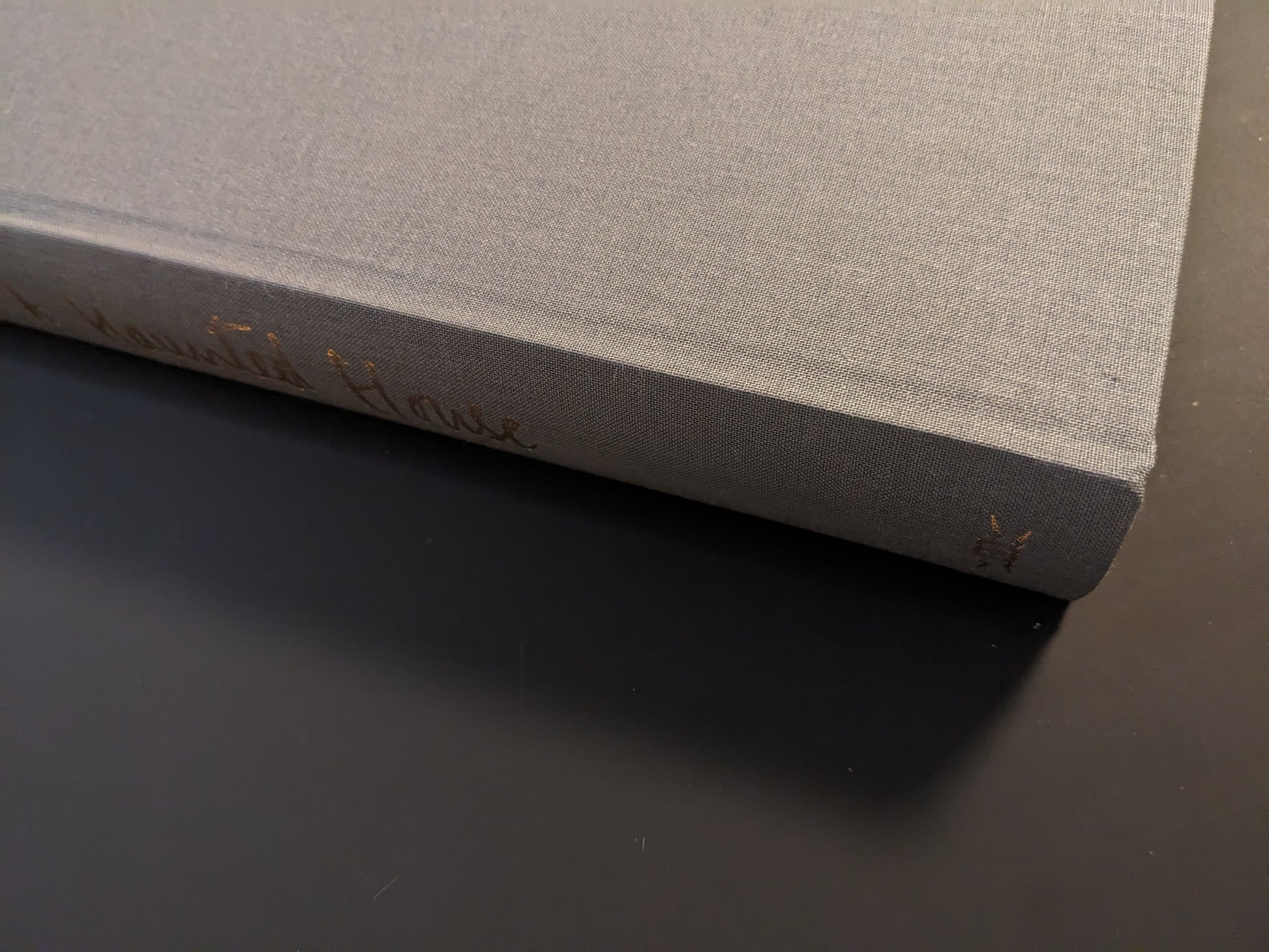 Book spine of The Universe is a Haunted House with gold embossed text on grey cloth cover.