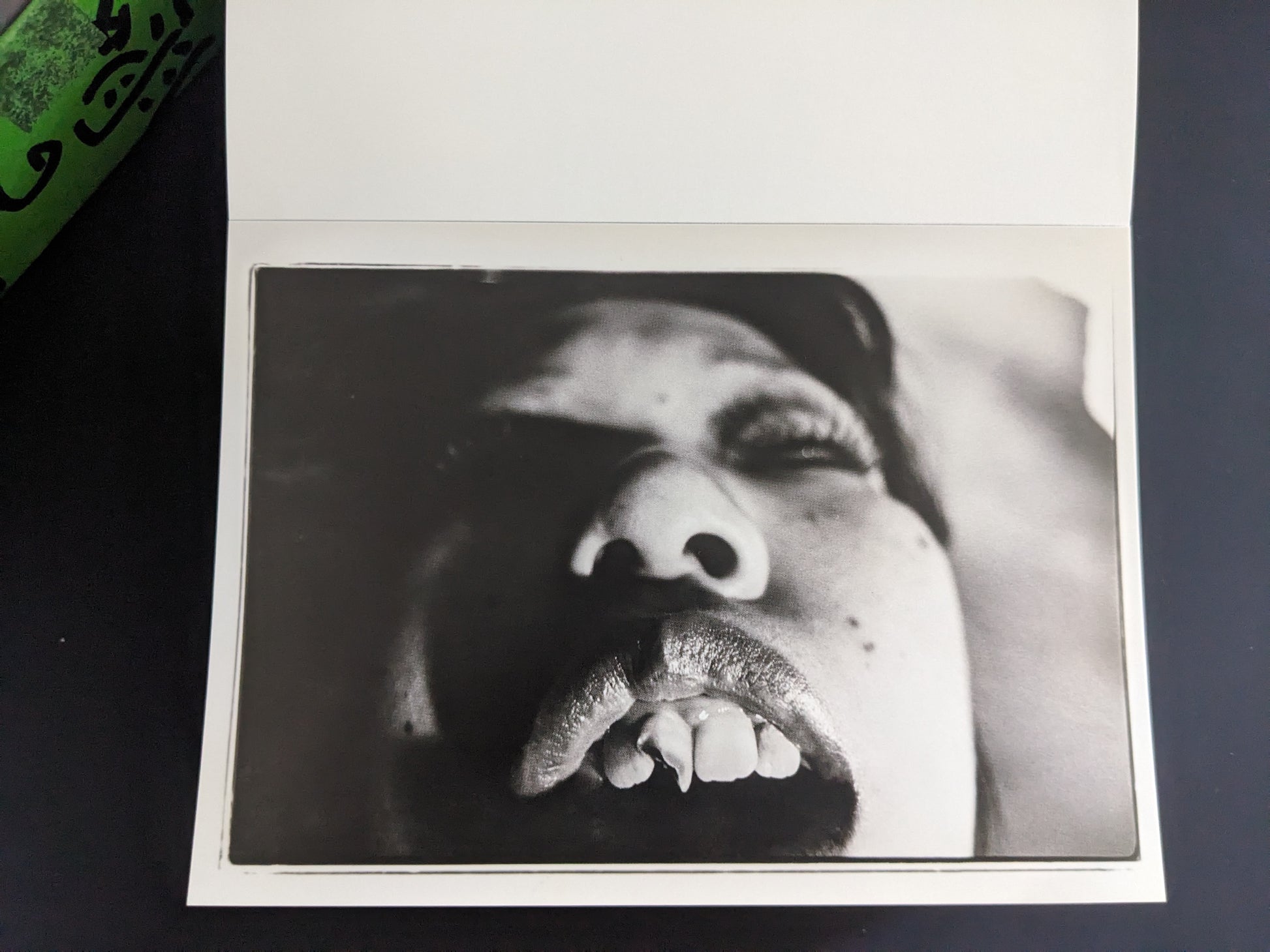 Extreme close-up of a face with fangs from Nobuyoshi Araki's 'Theater of Love'