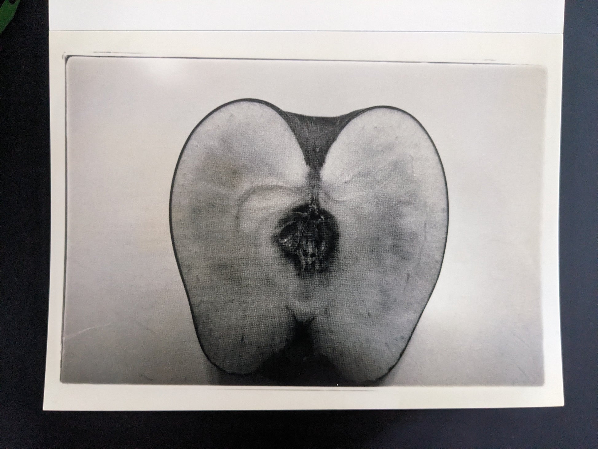 Macro shot of a sliced fruit resembling a human form from Nobuyoshi Araki’s 'Theater of Love'