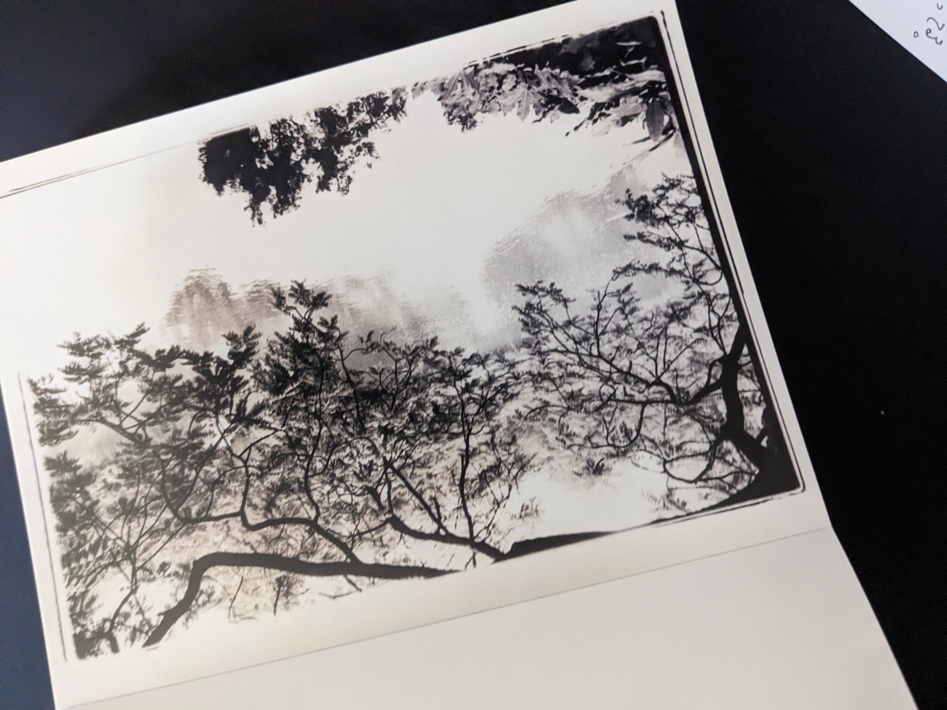 Black-and-white print of silhouetted trees with soft reflections