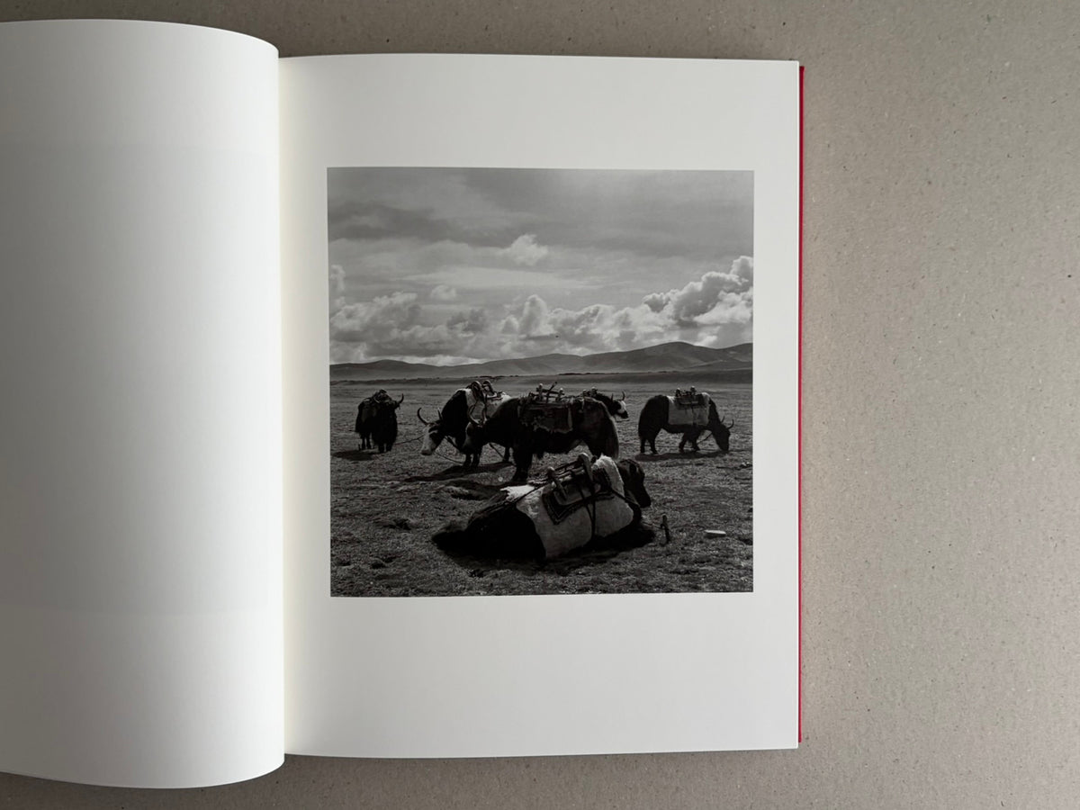 Open photobook spread with a black-and-white landscape of yaks on the right page, Tibet – Shinya Arimoto