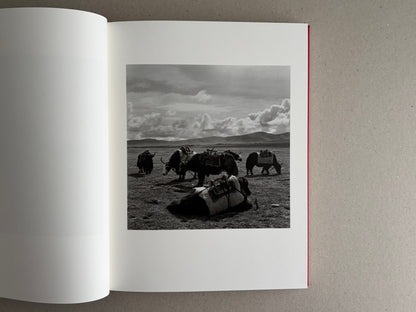 Open photobook spread with a black-and-white landscape of yaks on the right page, Tibet – Shinya Arimoto