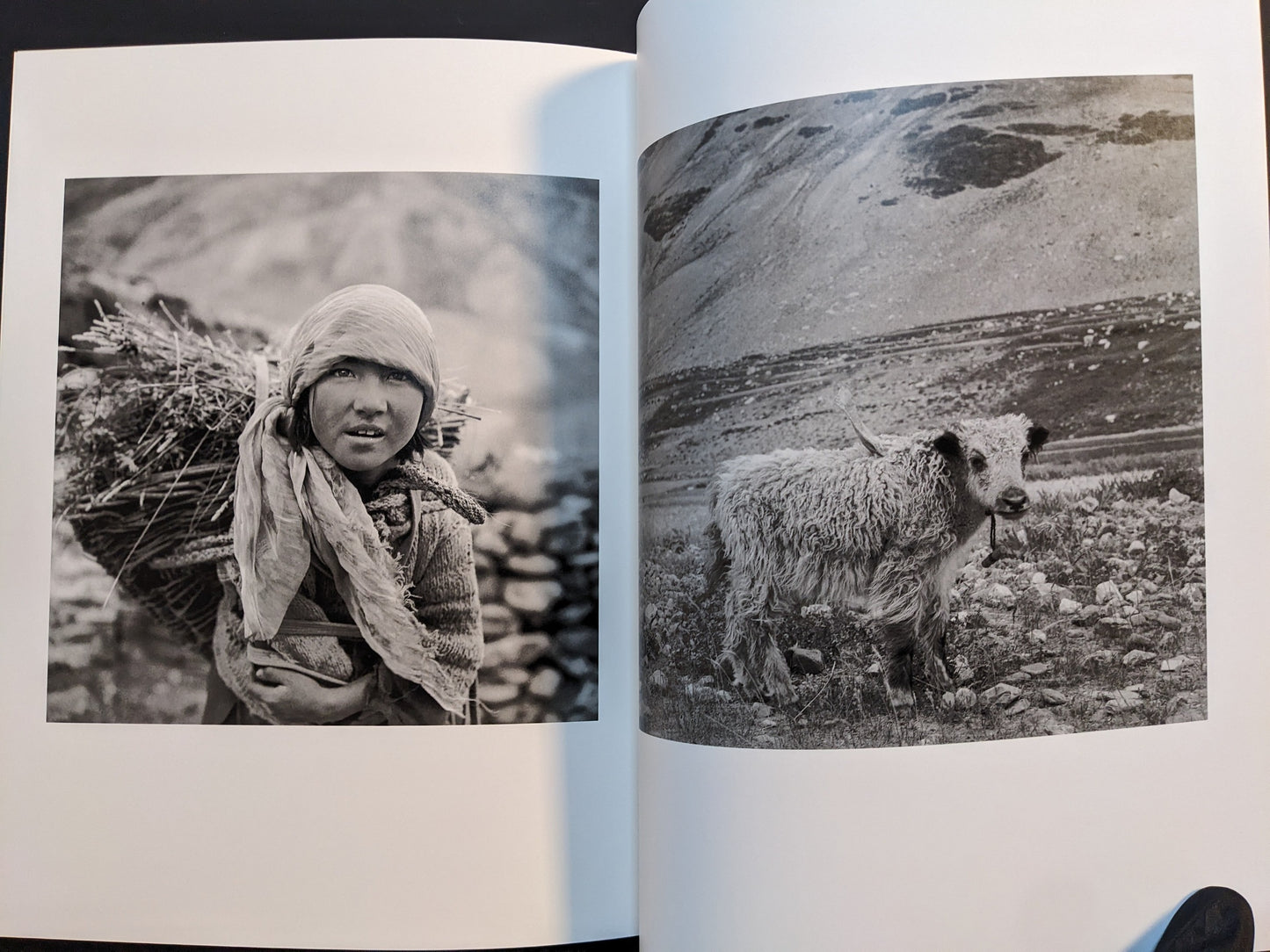 Spread from “TIBET” showing a young girl carrying a bundle of firewood on her back and a young yak standing in open terrain.