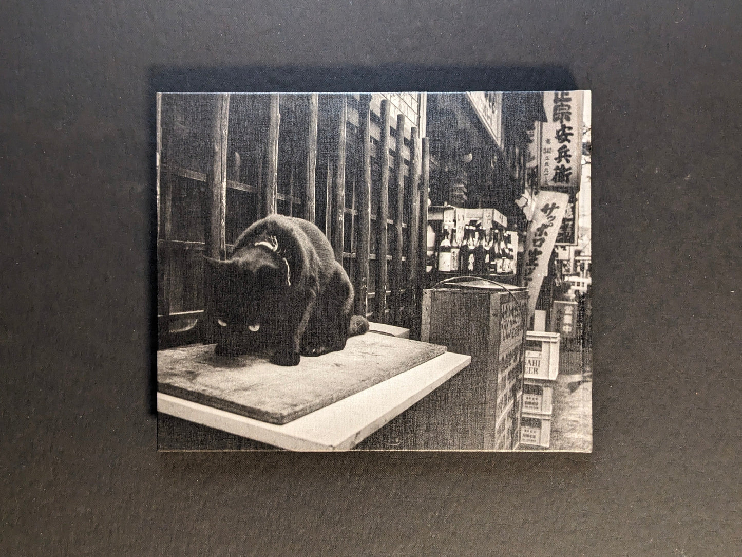 Back cover of Tokyo on the Brink of Sanity by Yoshio Mizoguchi, showing a black-and-white cat.