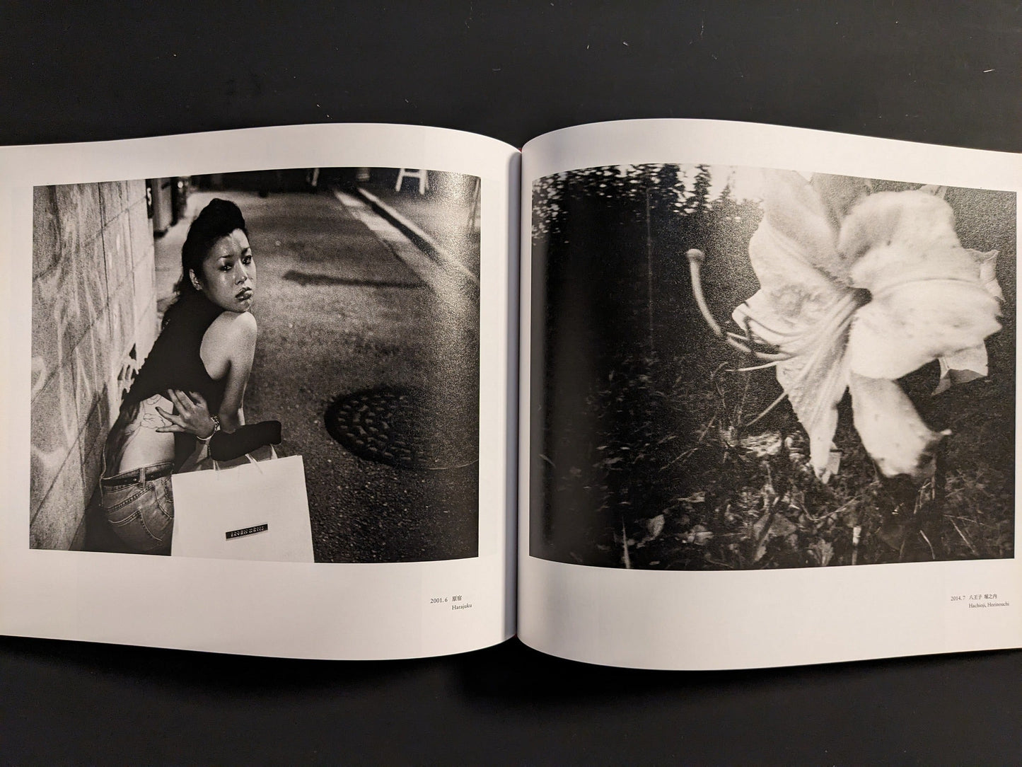 Open spread with a woman crouching with a shopping bag against a wall at night and a close-up of a white lily in a garden.