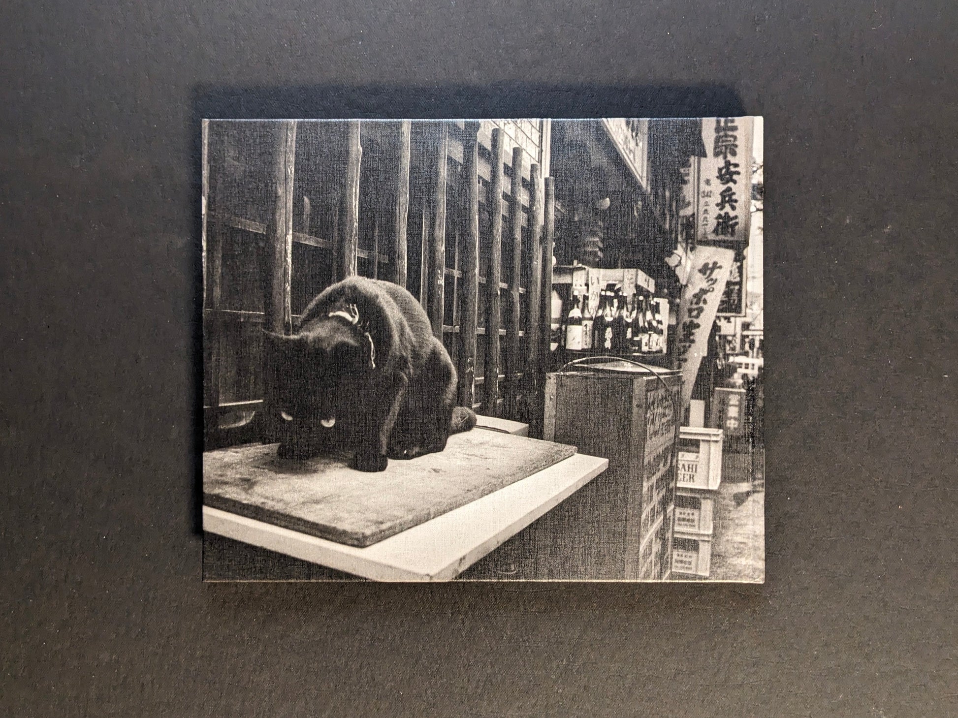 Back cover of the photobook “Tokyo on the Brink of Sanity” by Yoshio Mizoguchi, showing a cat in black-and-white.