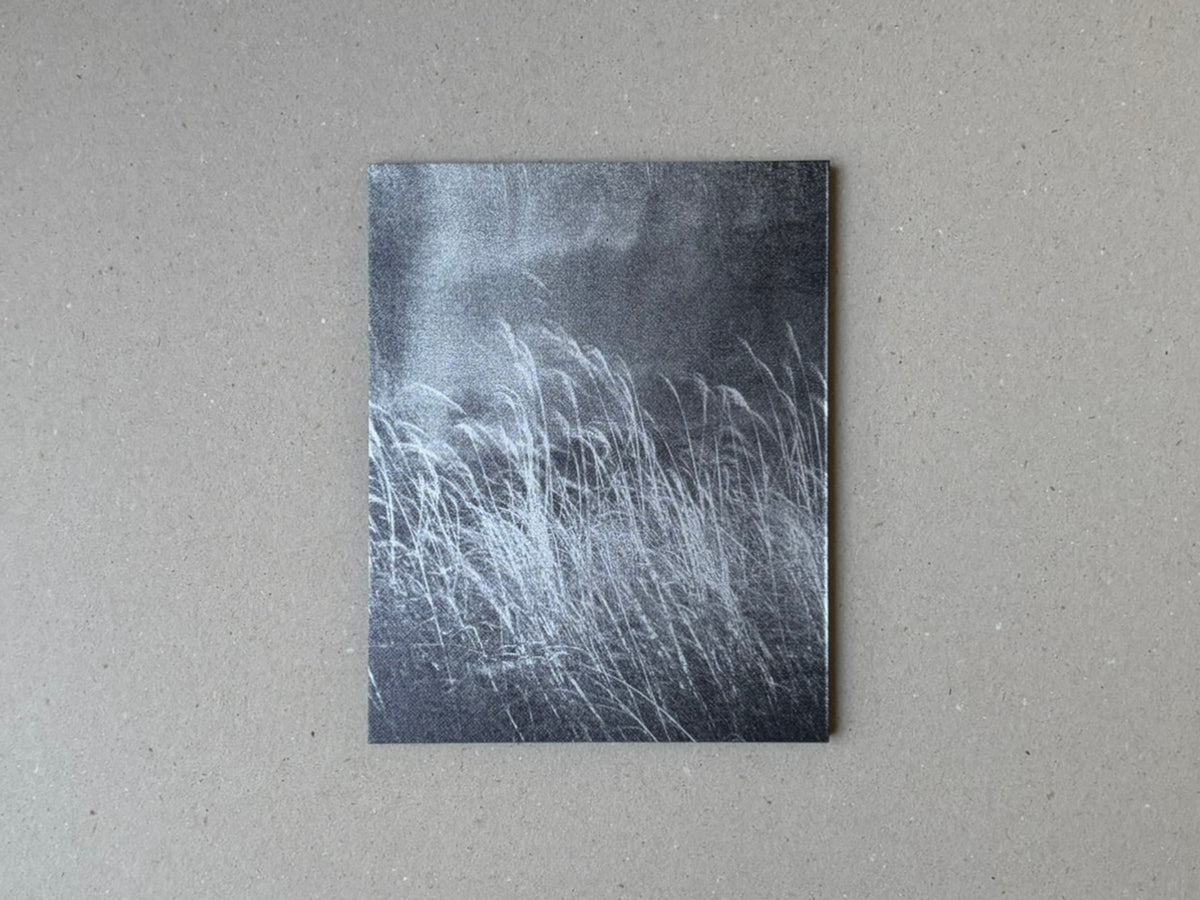 torikumo by Haruka Fujita, front cover with a dark photograph of grasses against a grey background