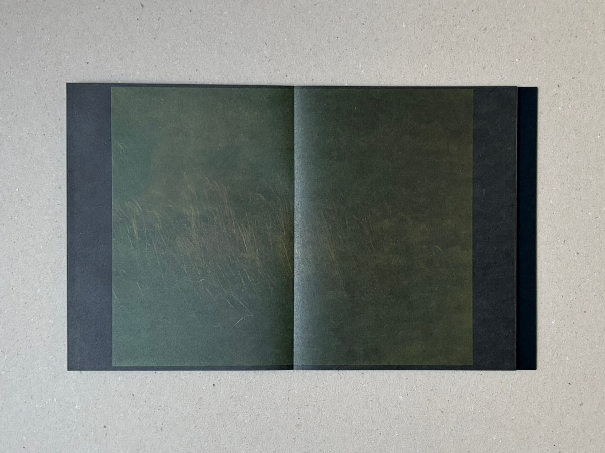 torikumo by Haruka Fujita, open accordion-bound photobook showing two dark green pages on a pale surface
