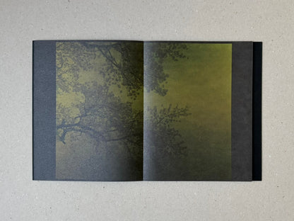 Open spread of torikumo by Haruka Fujita, showing dark green tree canopies against a muted yellow-green sky across the accordion-bound pages.
