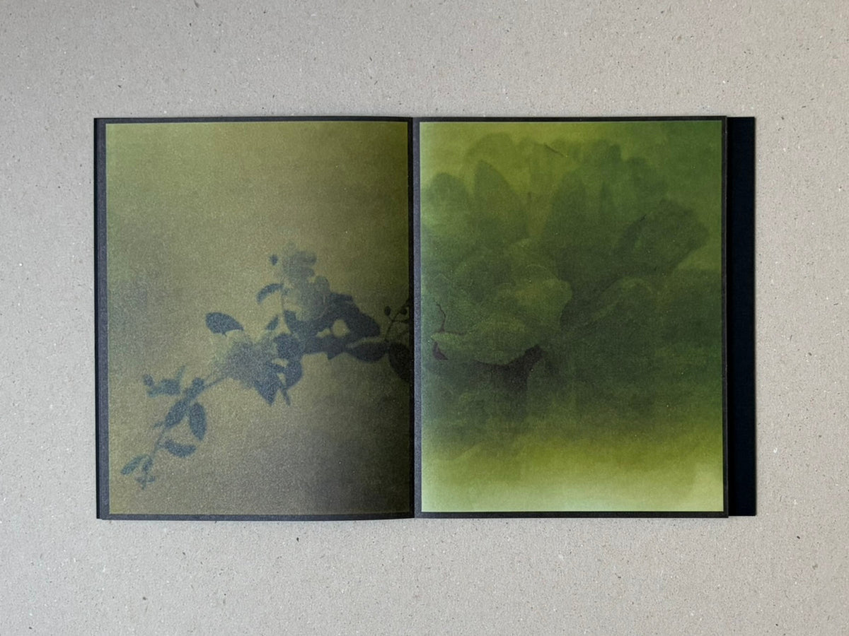 Open accordion-bound spread from torikumo by Haruka Fujita, showing two green-toned pages with soft floral imagery.