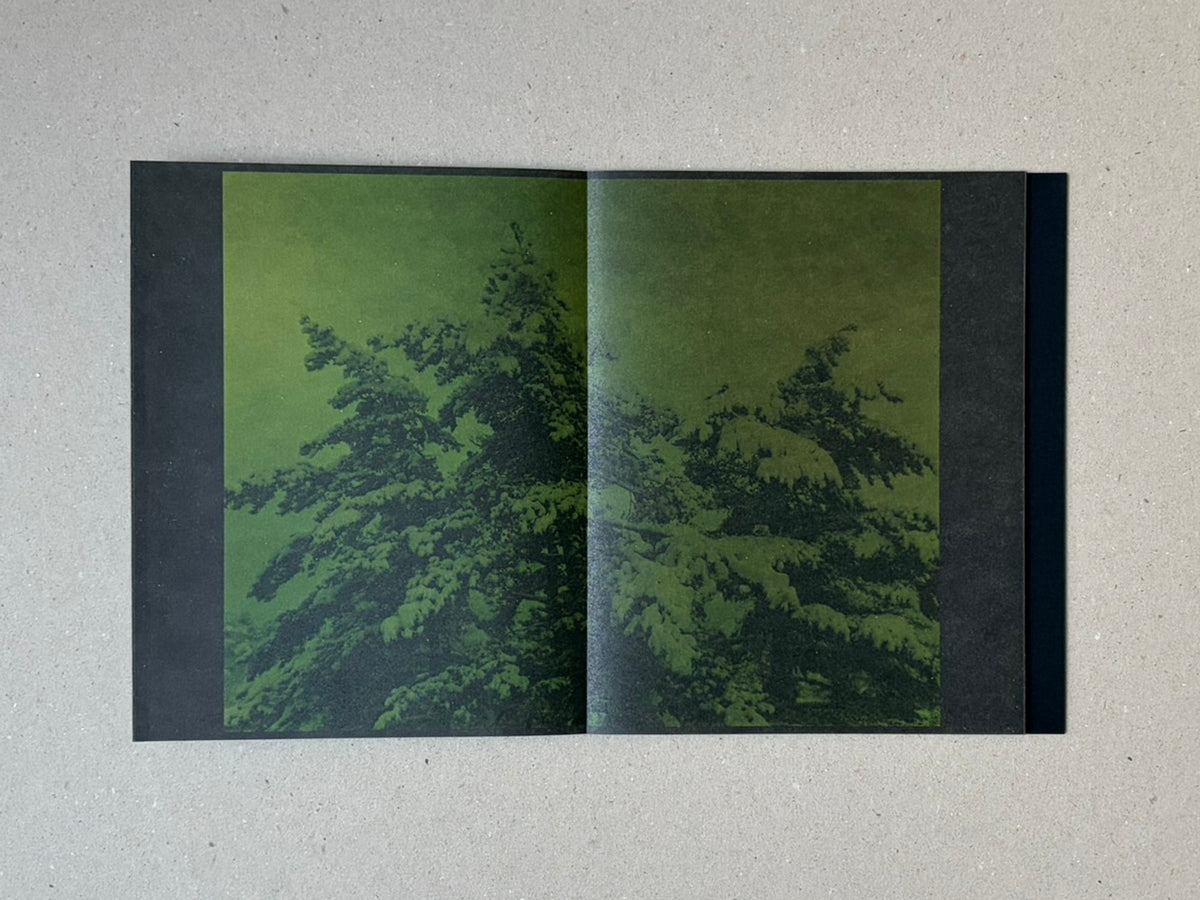 torikumo by Haruka Fujita, open accordion-bound photobook showing a green-toned two-page spread with trees