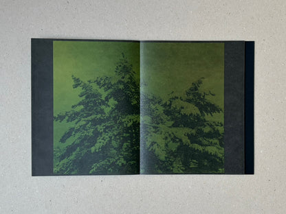 torikumo by Haruka Fujita, open accordion-bound photobook showing a green-toned two-page spread with trees