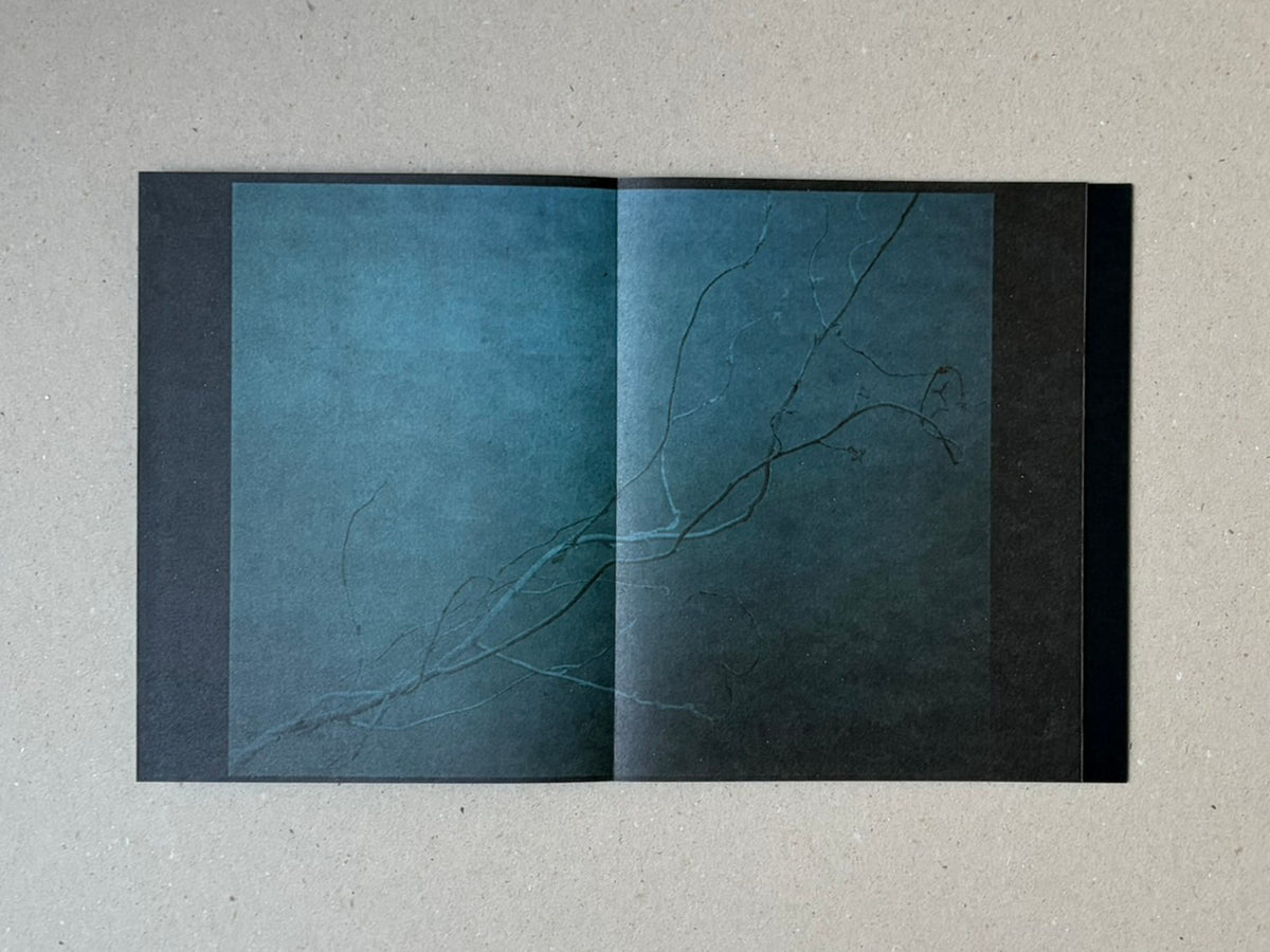 torikumo by Haruka Fujita, open accordion-bound book showing a two-page spread with blue-toned abstract imagery and fine branching lines