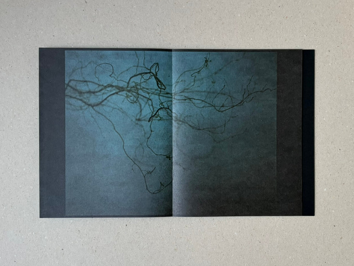 torikumo by Haruka Fujita, open accordion-bound photobook showing a blue-toned spread with dark branching lines