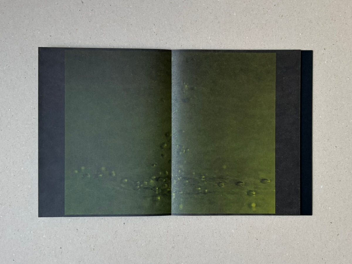 torikumo by Haruka Fujita, open accordion-bound photobook showing a two-page spread with dark green abstract imagery on a light surface