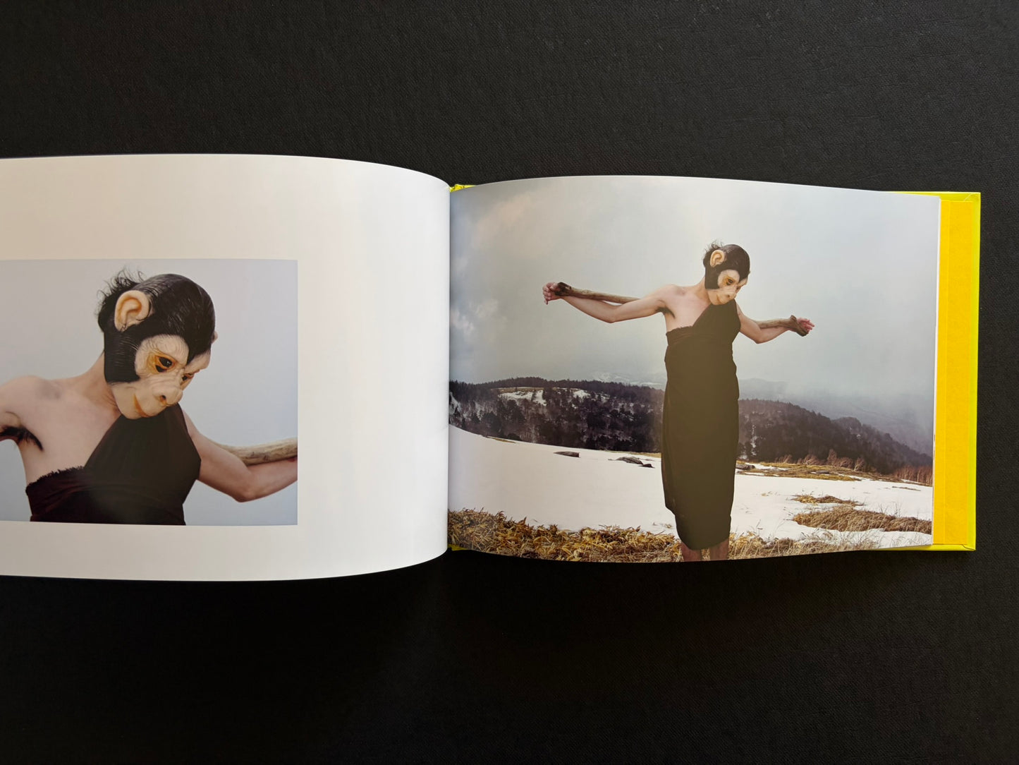 Interior spread from TSUMITOBATSU with image.