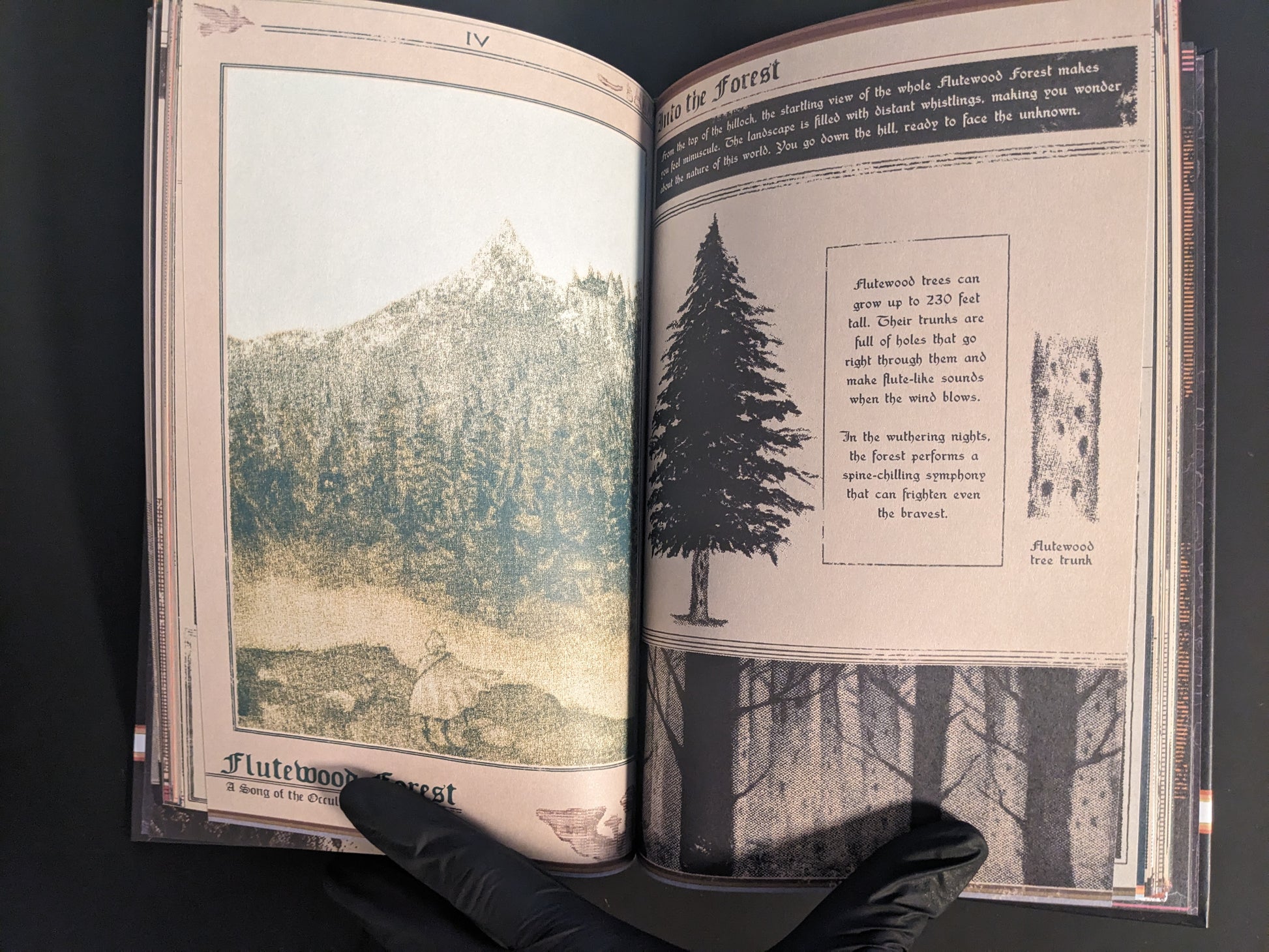 Atmospheric forest illustration with dark fantasy elements from Vermis I – Lost Dungeons and Forbidden Woods (Forsaken Edition).