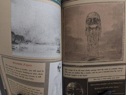 Eerie illustration of an old ghostly face emerging from water and a "Shadow Figure" lore page from "Vermis I"