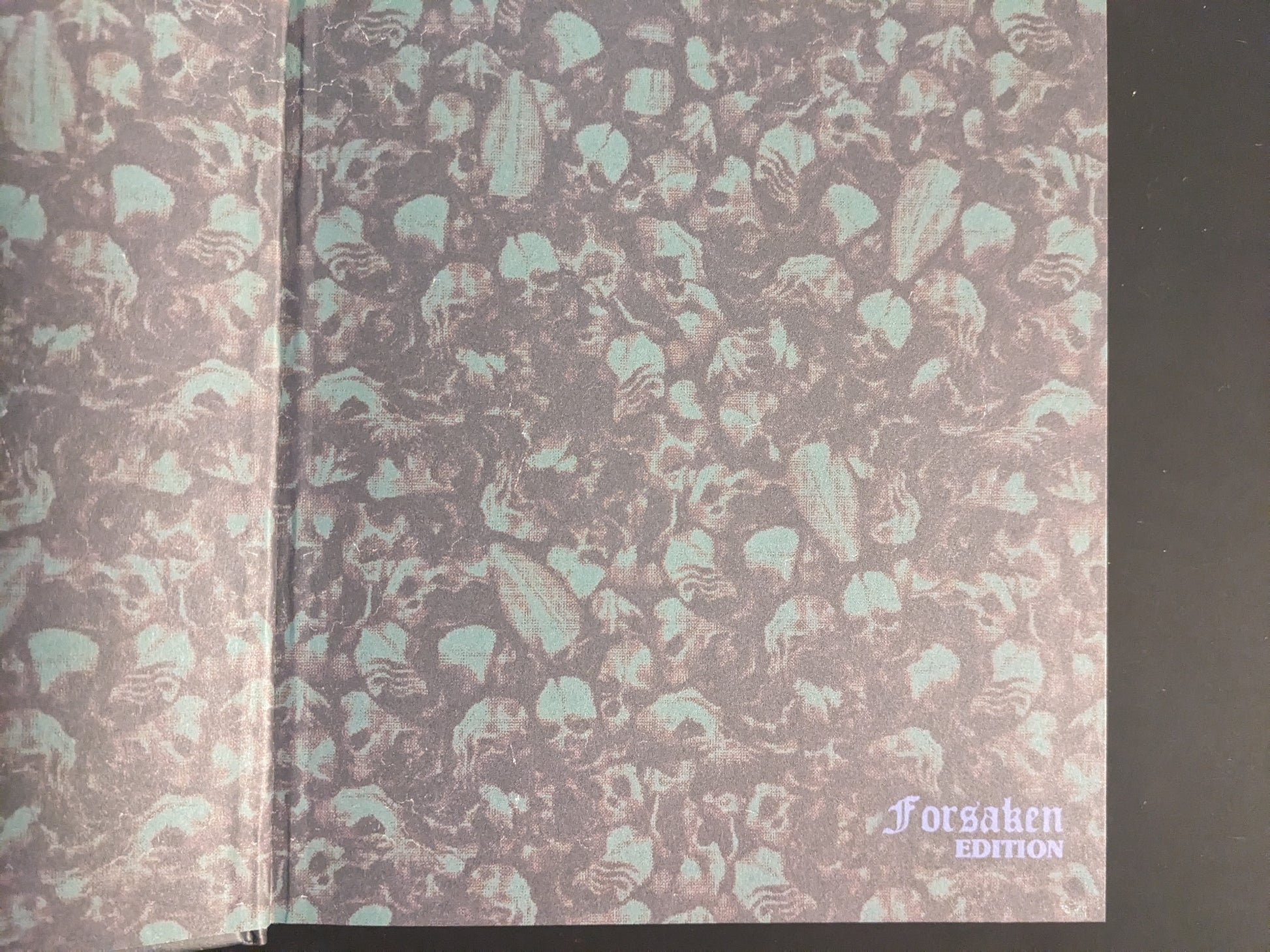 Decorative endpaper with skull pattern from Vermis II – Mist & Mirrors (Forsaken Edition)