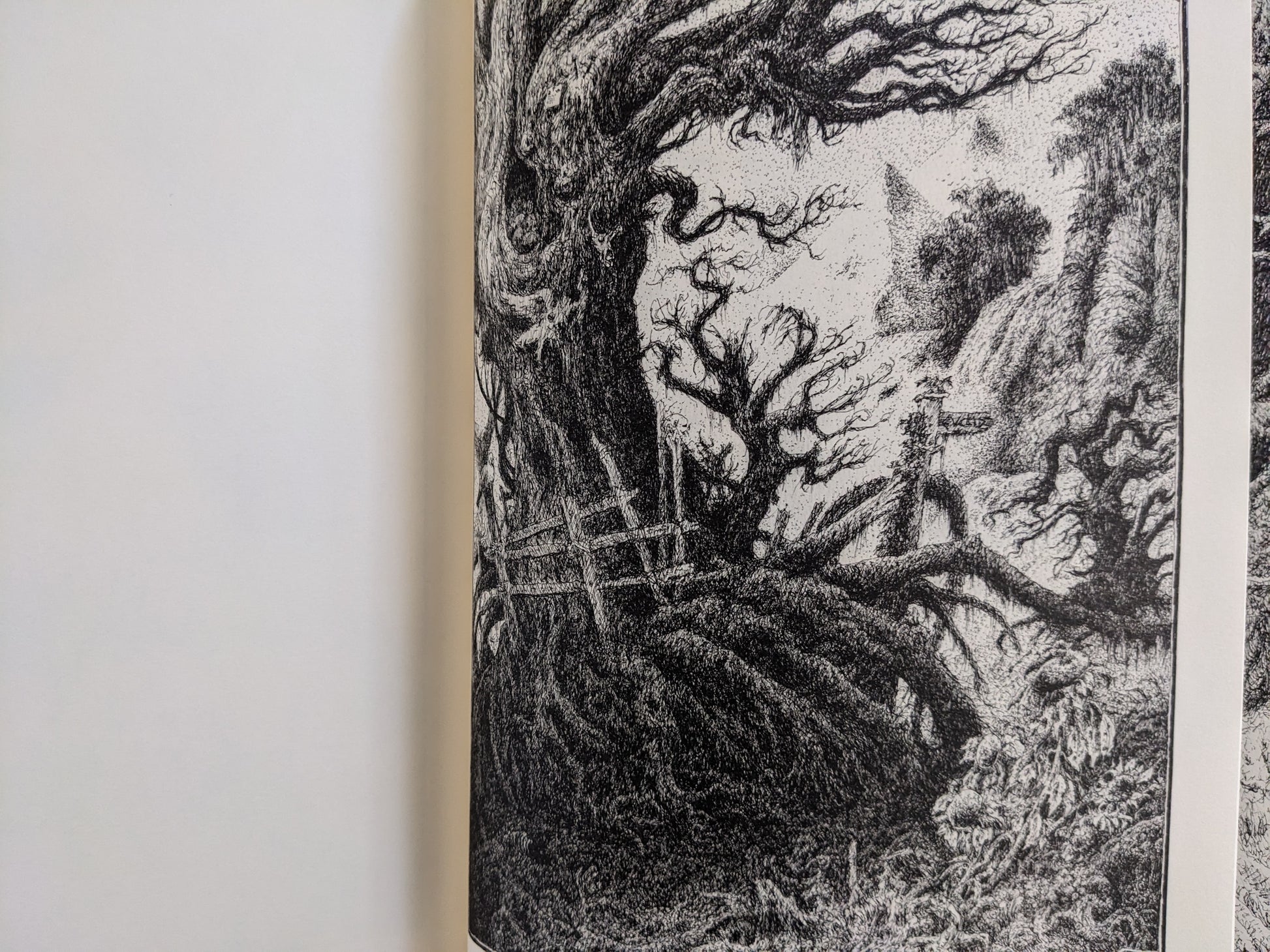 Landscape with gnarled trees and a distant mountainous path from 'Voodoo Forest'
