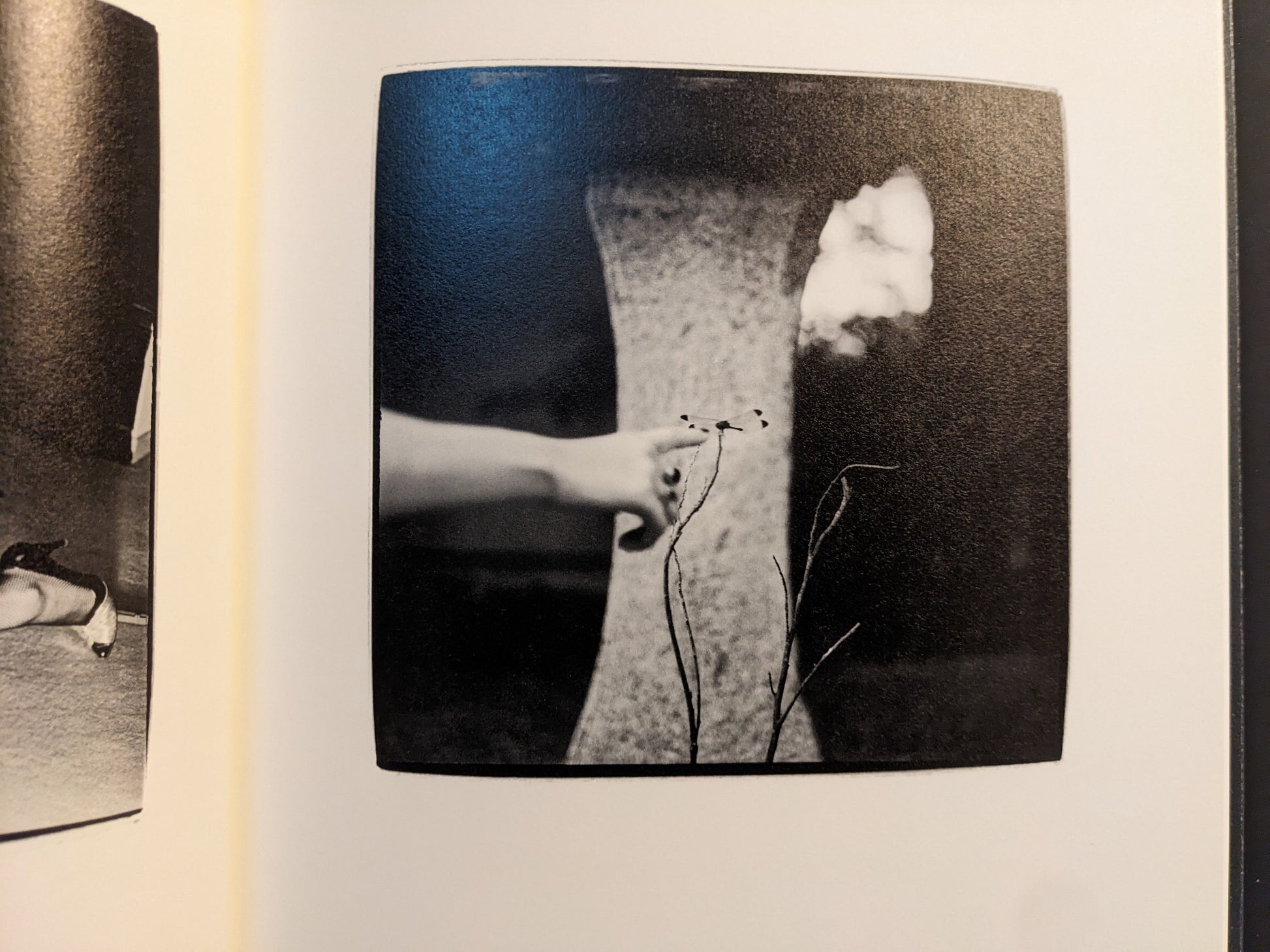 Inside page from “Walk while ye have the light” with a close-up of an outstretched arm reaching past a stone surface toward delicate stems and flowers.