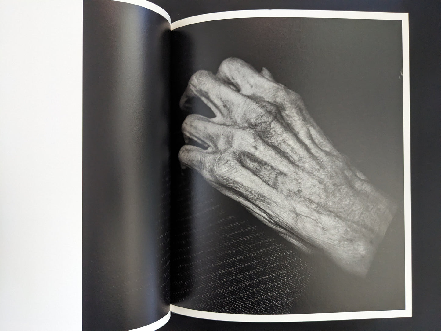Close-up of an old wrinkled hand in black and white