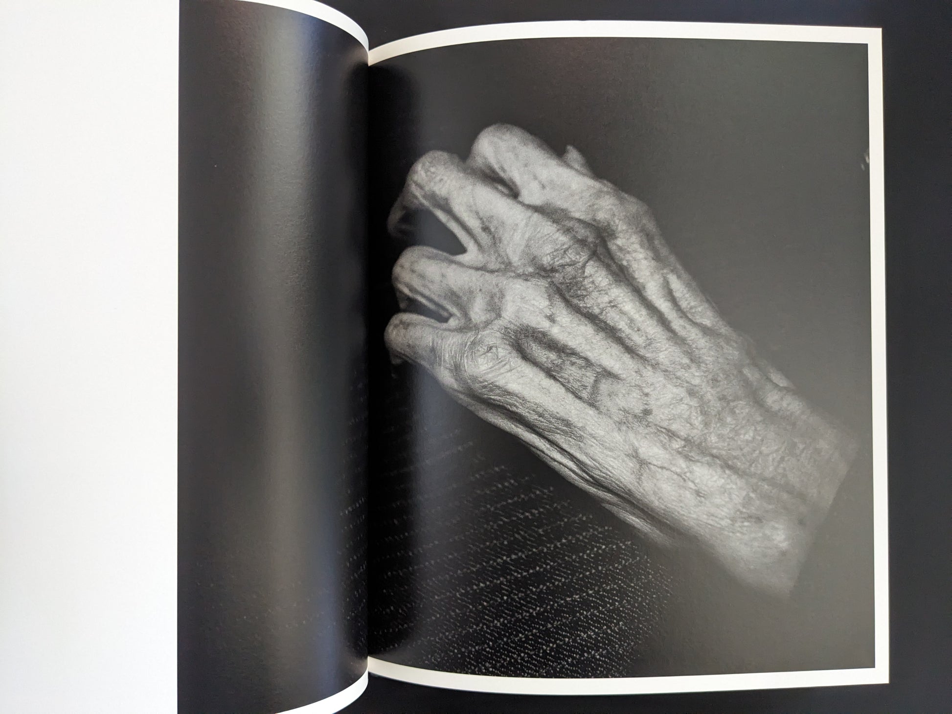 Close-up of an old wrinkled hand in black and white