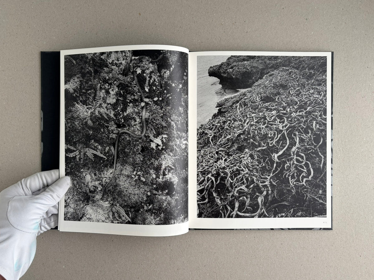 Open spread of Wandering Dog by Mai Nakama showing two black-and-white photographs: a dense close-up of vegetation with a snake-like form on the left, and a rocky shoreline covered in tangled roots or seaweed on the right.